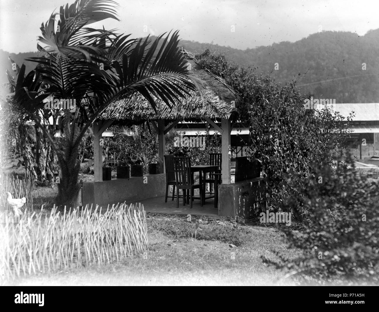 39 je Lusthuset Soumans trädgård på Modejag. Modajag. Indonesien - SMVK - 022117 Banque D'Images 39 je Lusthuset Soumans trädgård på Modejag. Modajag. Indonesien - SMVK - 022117 Banque D'Images