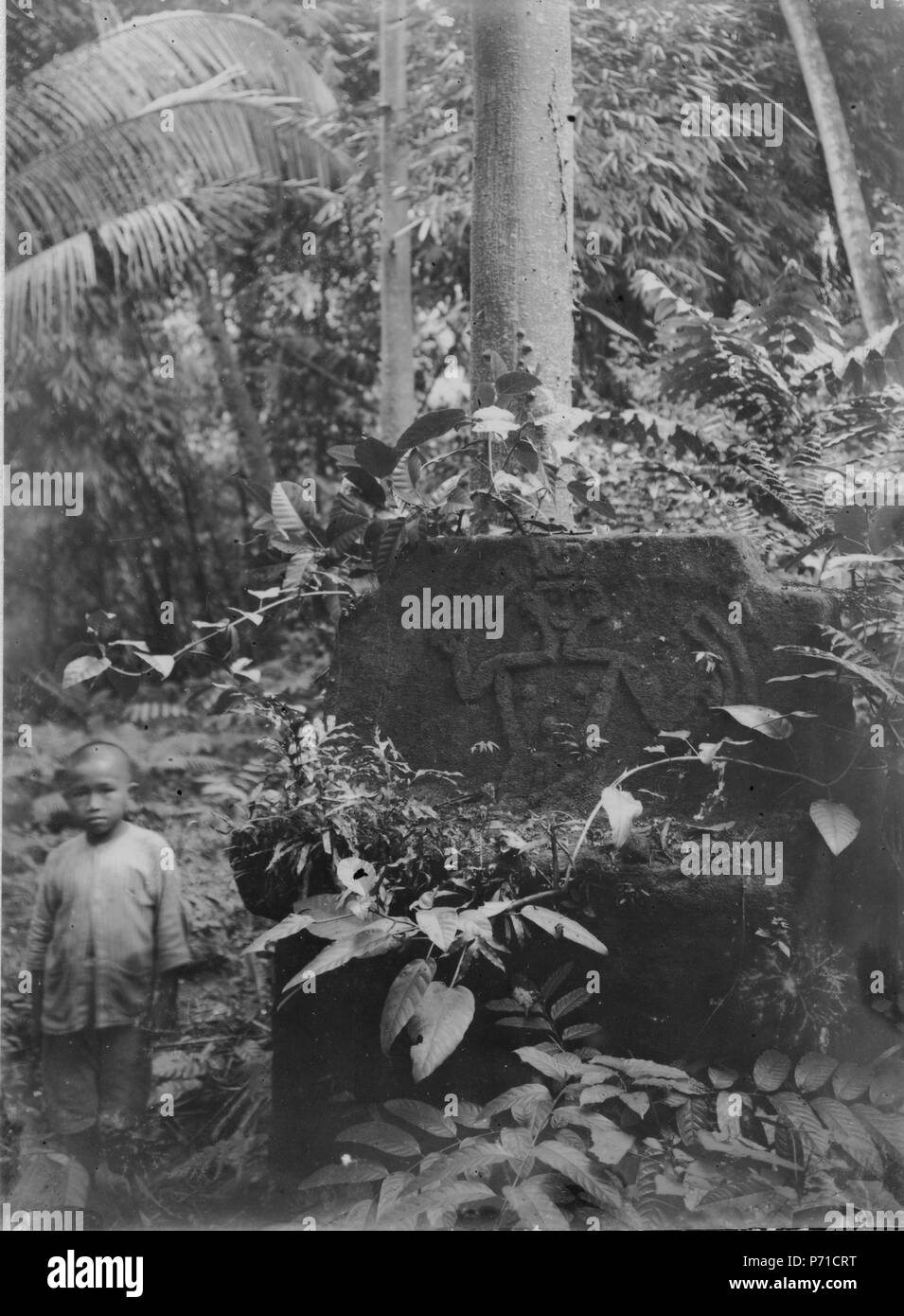 9 stengrav tiwoekar En gammal eller i skogen vid Amoerang - SMVK - 000263 Banque D'Images