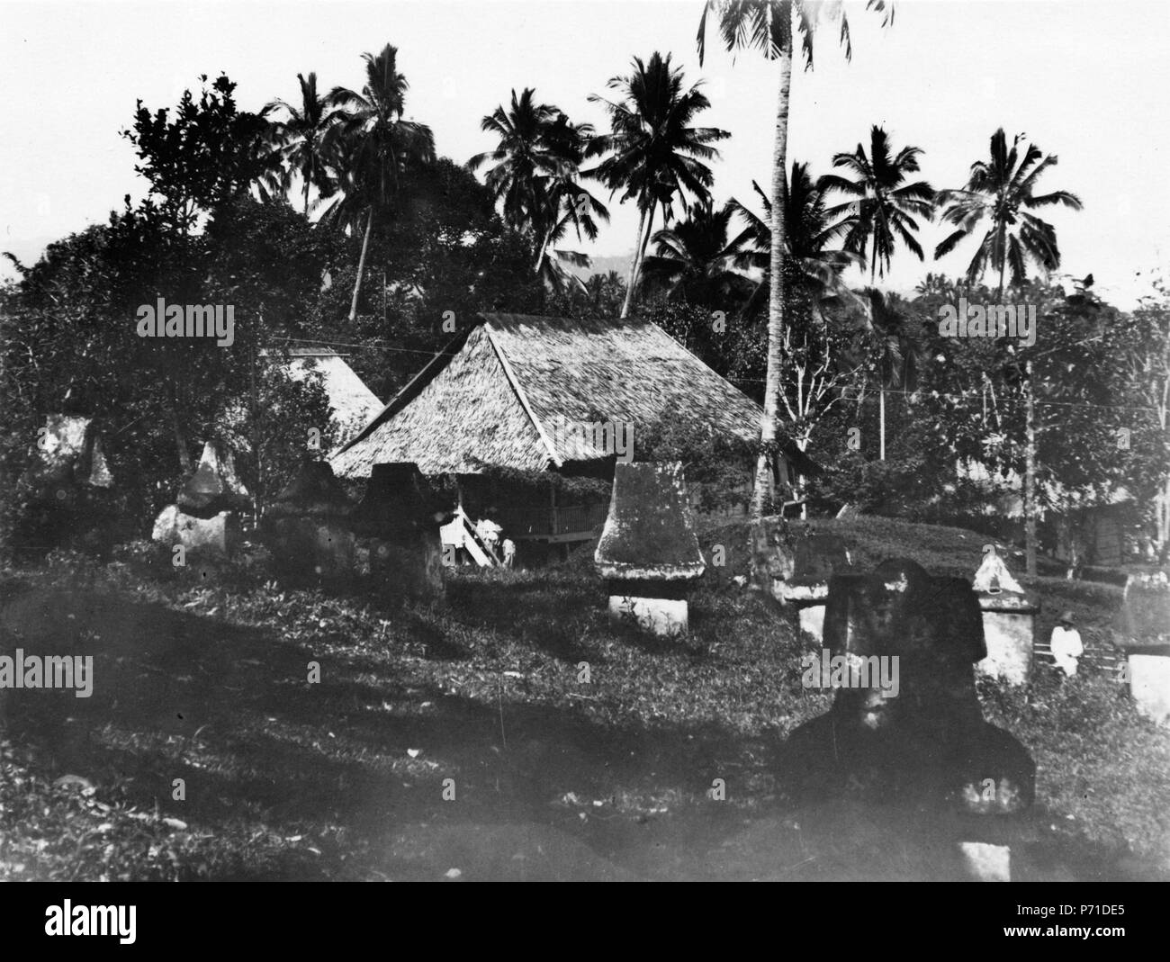 52 Stengravar. Sulawesi. Indonesien - SMVK - 010688 Banque D'Images