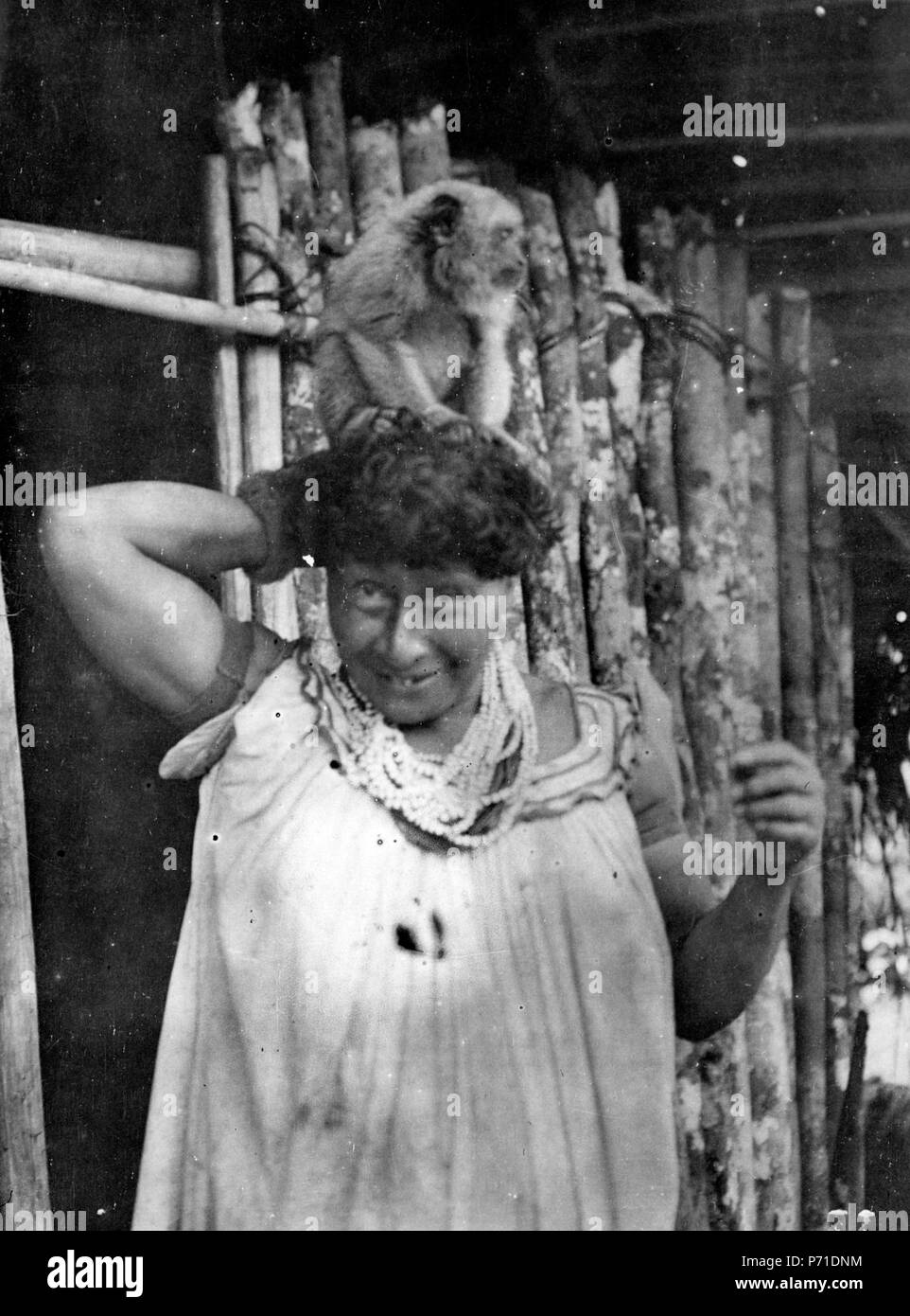 Med vrålapa Änkan 231 Gertrude på huvudet. Orikoripe, nära Rio Guaporé, Garlstorf., Sydamerika - SMVK - 005706 Banque D'Images