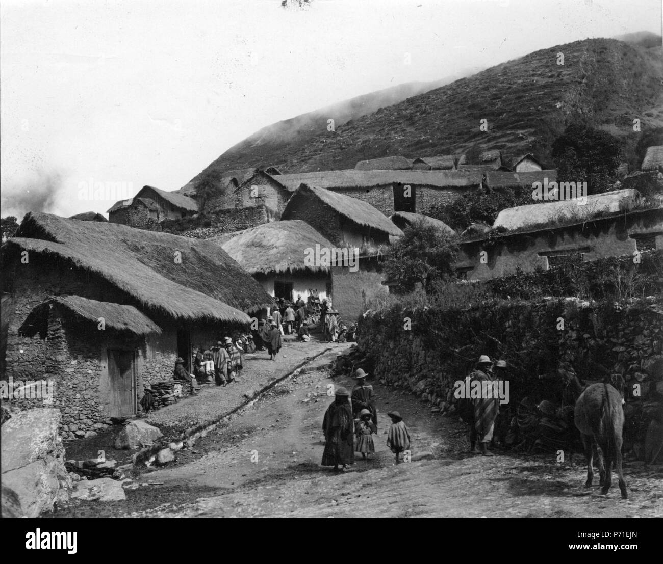 190 Quichuaby. Sydamerika. Bolivie - SMVK - 002426 Banque D'Images