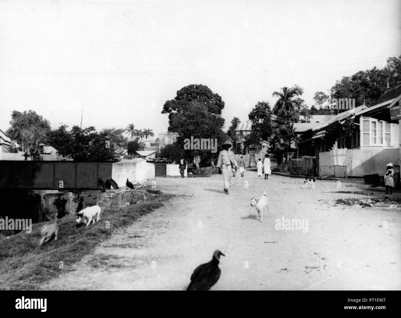 Svenska : Gatuscen. Port of Spain, Trinité-et-Tobago. Svenska expeditionen (1904-1905). Anglais : Port of Spain, Trinité-et-Tobago, 1904 ou 1905. Picadilly street vers le nord avant de Duke Street. Grâce au groupe Facebook Angelo l'Bissessarsingh Musée virtuel de la Trinité-et-Tobago pour trouver l'endroit où cette photo a été prise. 1904 ou 1905 Gatuscen 125. Port d'Espagne. Trinité-et-Tobago - SMVK - 002431 Banque D'Images