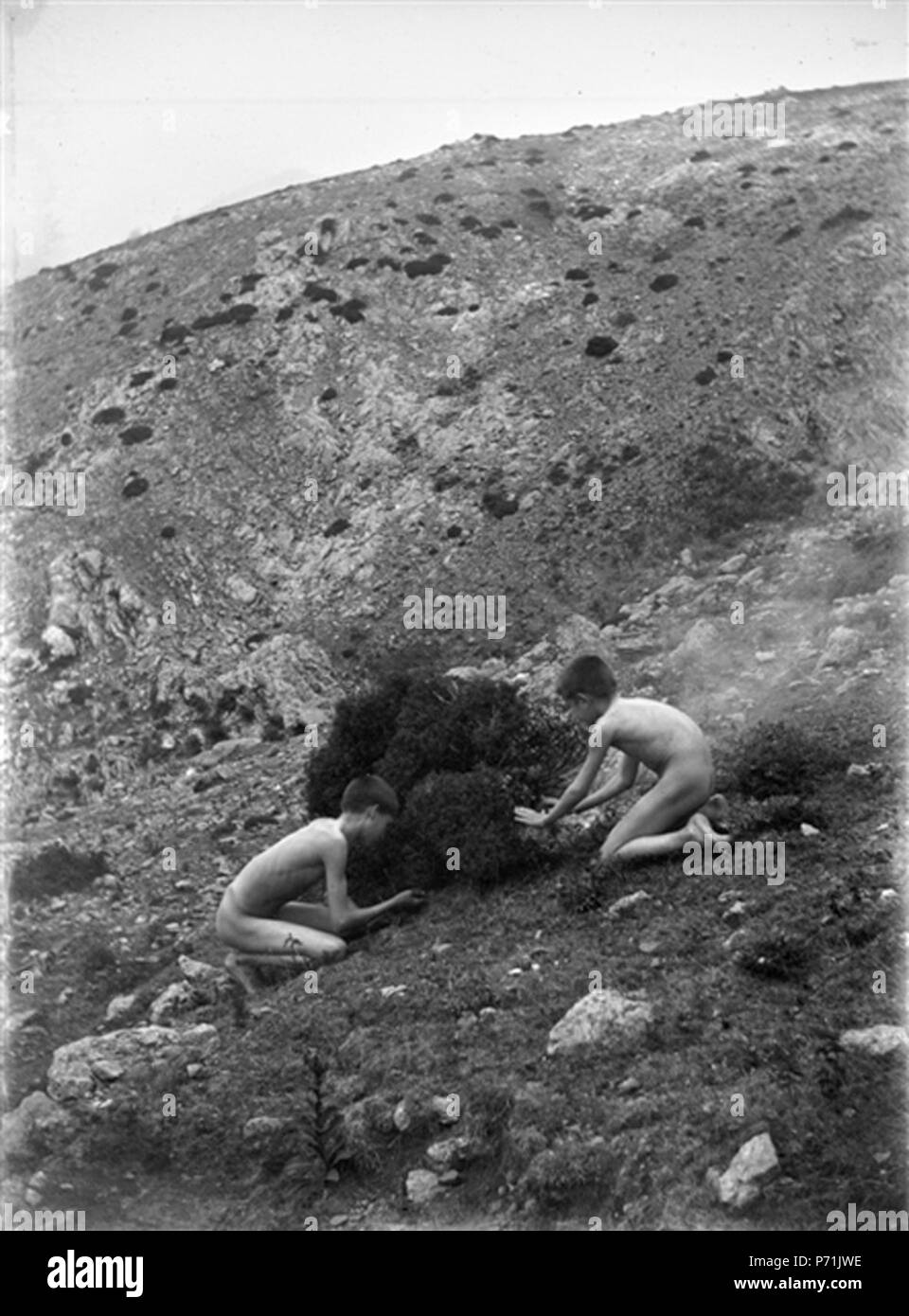 8 BALDOMER GILI Roig. Composició - 8720467434 Banque D'Images