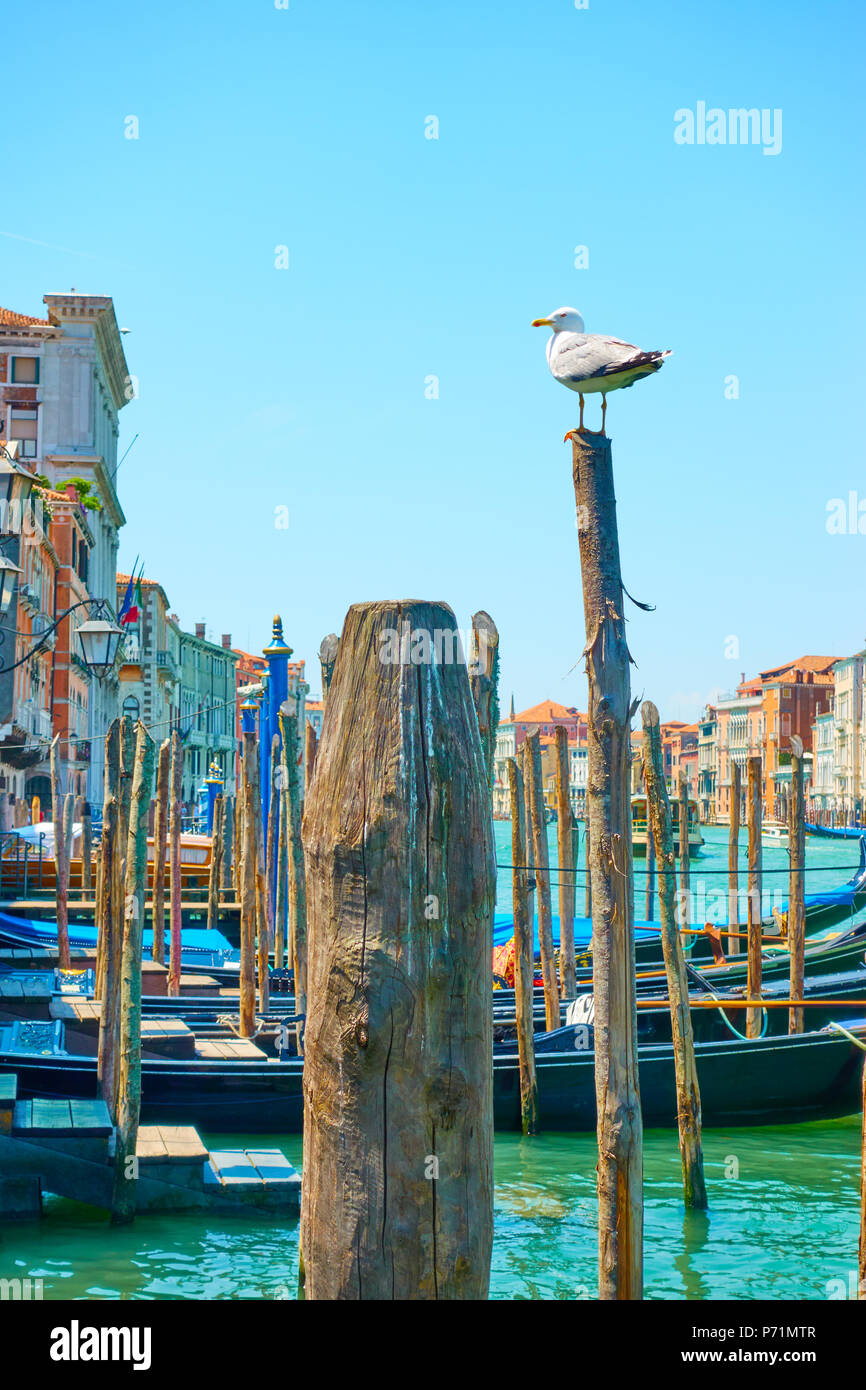 Pour les gondoles à quai en bois avec poteaux d'amarrage à Venise, Italie Banque D'Images
