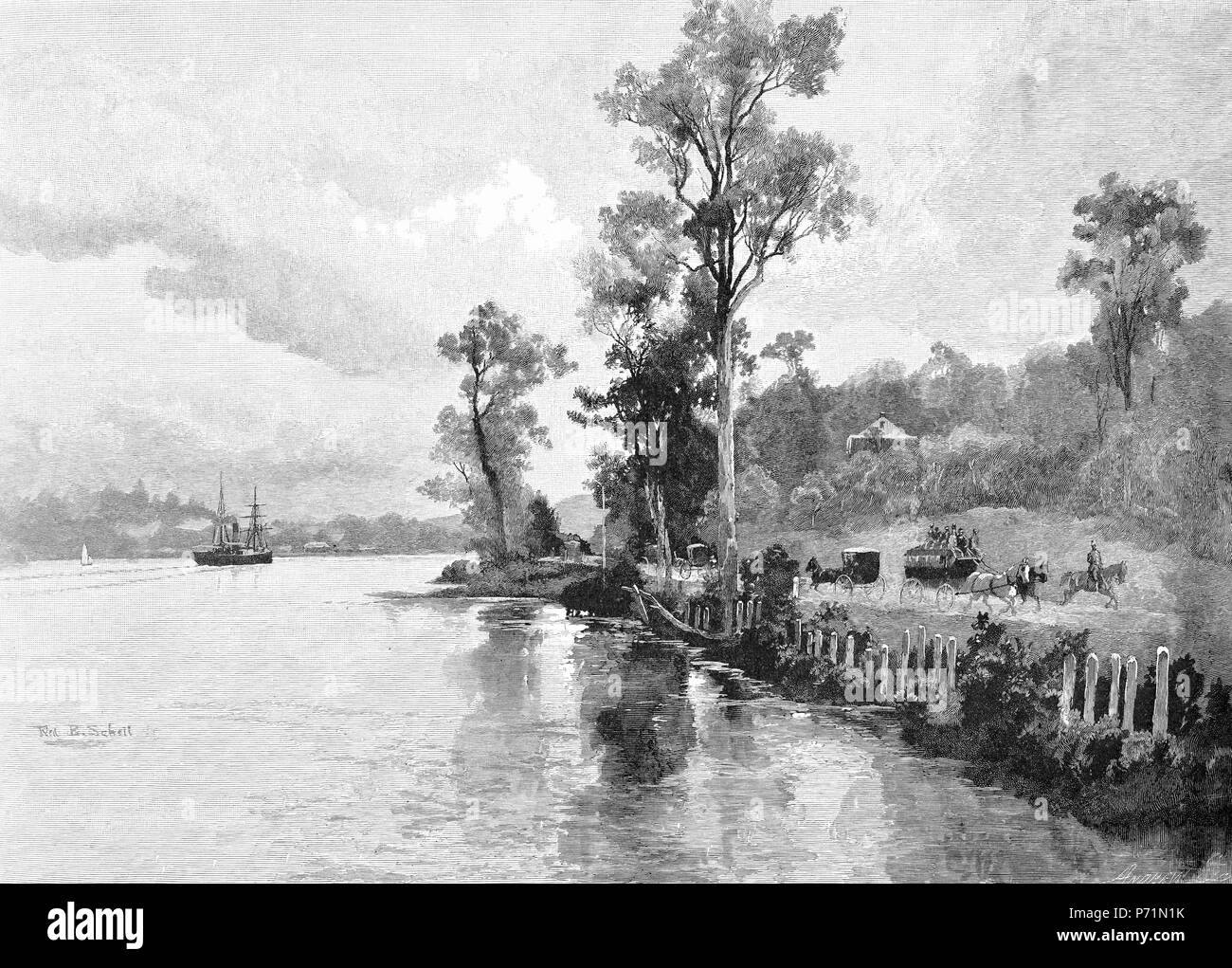 Gravure de Hamilton Reach sur la Rivière de Brisbane, Queensland, Australie, vers 1880. À partir de l'Atlas pittoresque d'Australasie Vol 2, 1886 Banque D'Images
