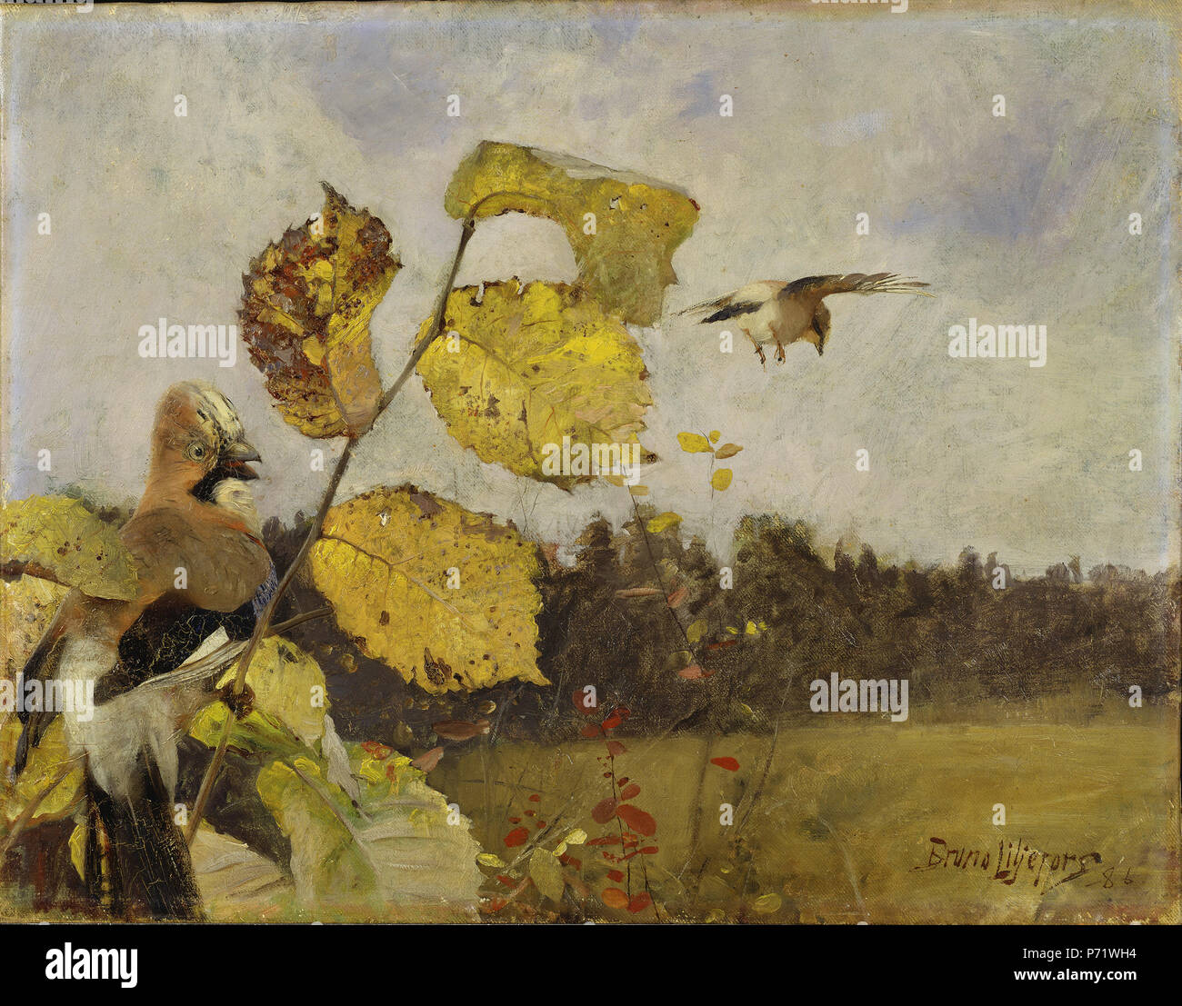 belle rencontre anglais