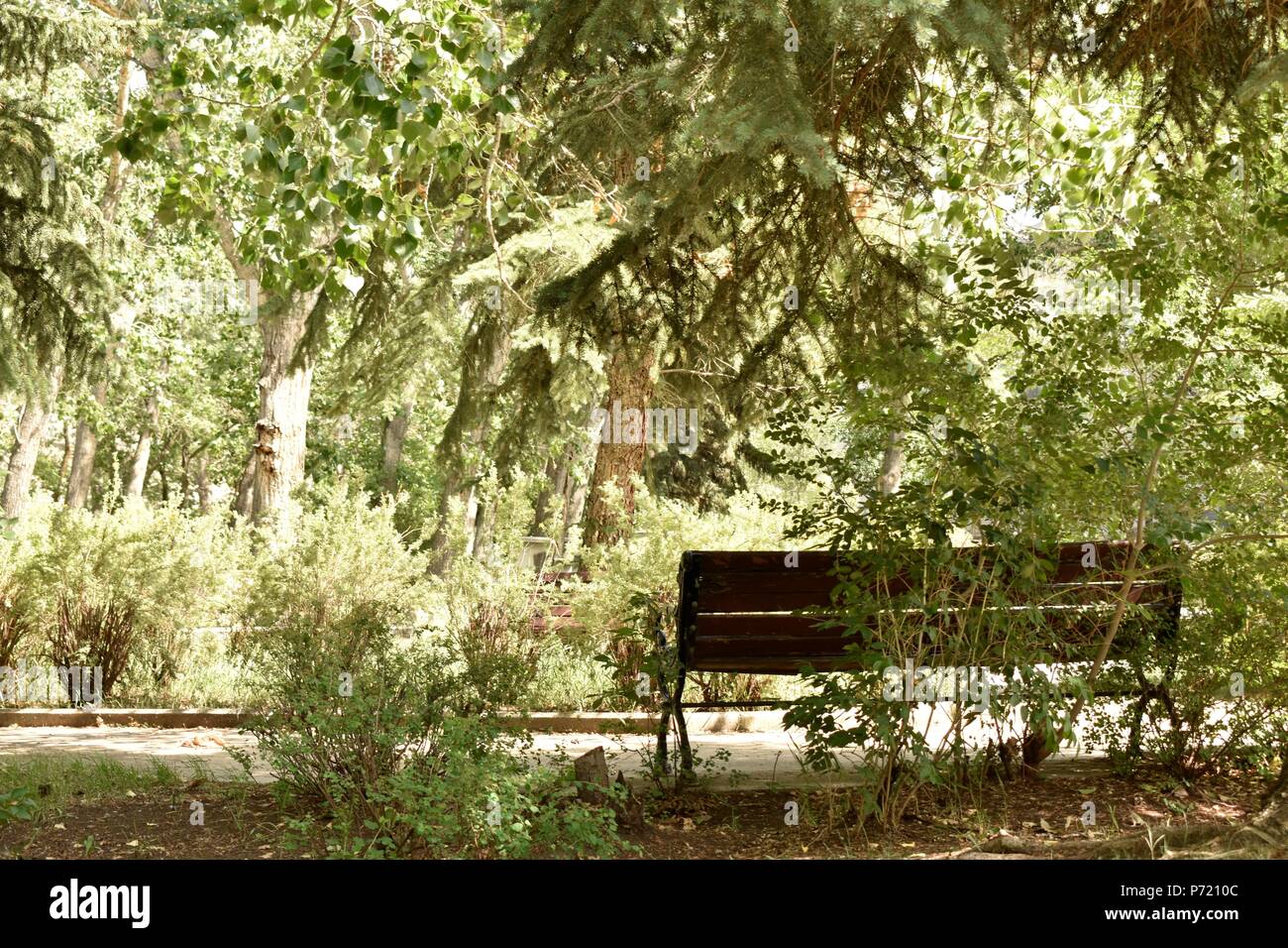 Lieu de repos - Banc Lookout Banque D'Images