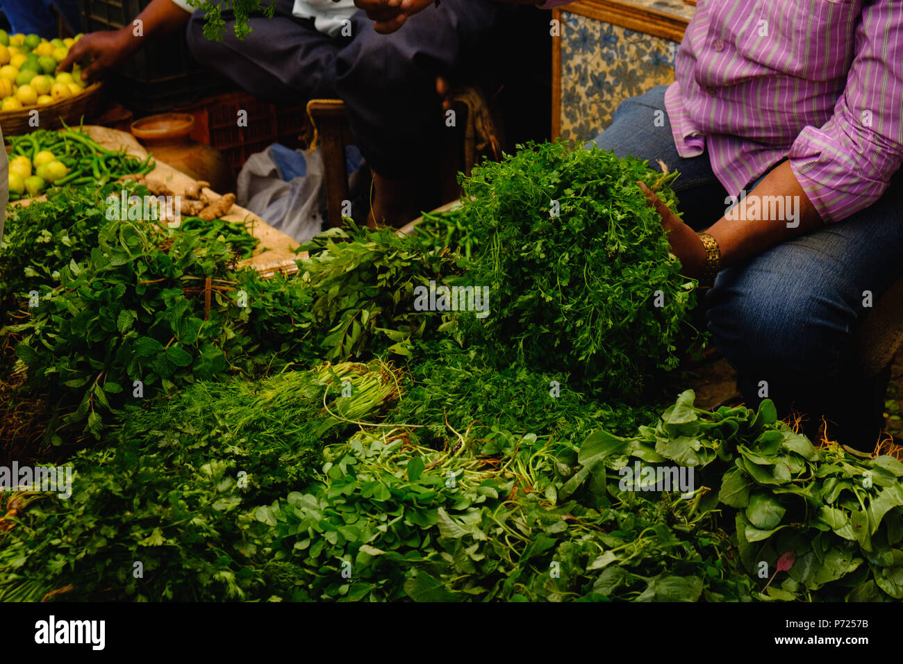 Homme vend des plantes indiennes, le poivre menthe, basilic, persil, aneth, épinards, salade Banque D'Images