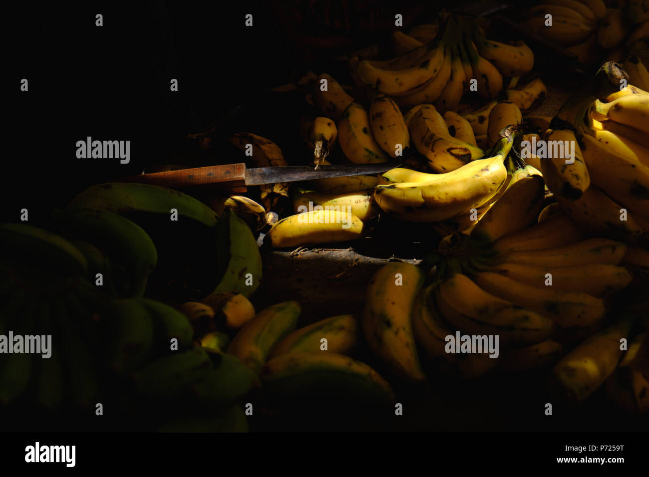Big mûres bananes vertes et jaunes sur market stall Banque D'Images