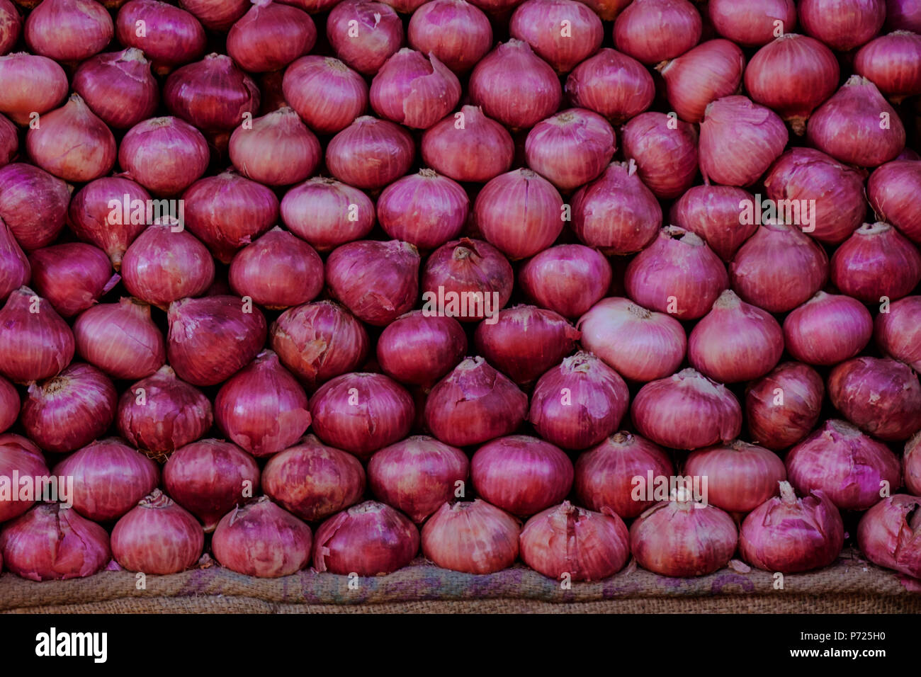 Oignons rouges frais allongé en rangées sur légumes du marché Banque D'Images