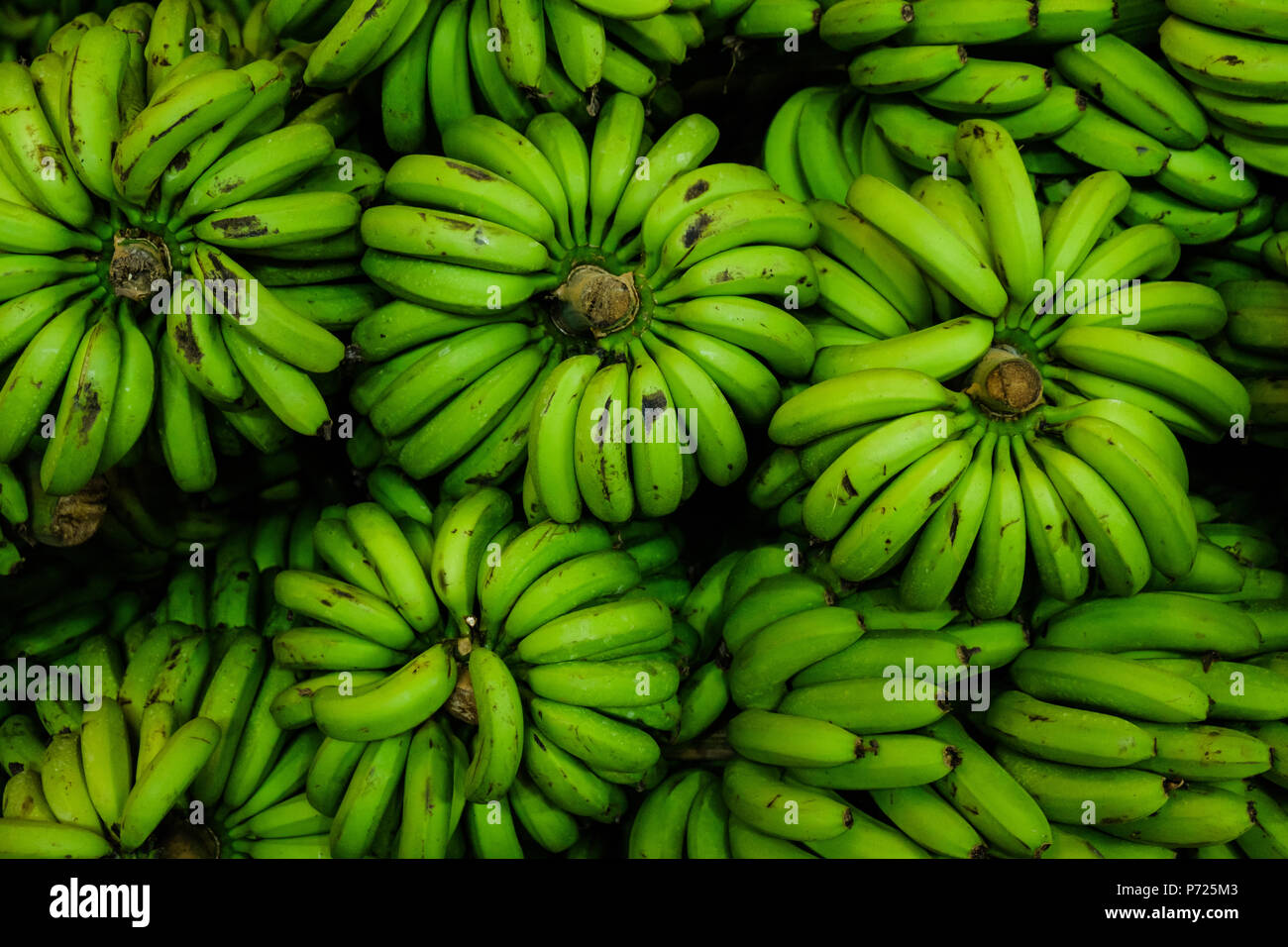 Big mûres bananes vertes et jaunes sur market stall Banque D'Images