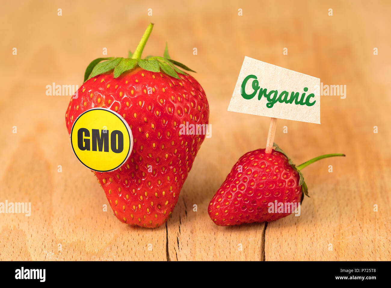 Fraise Bio et OGM Banque D'Images