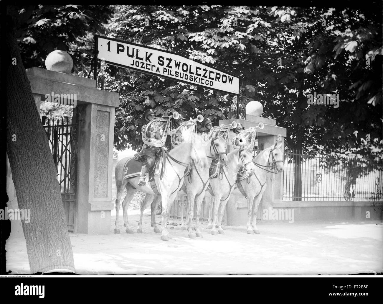 64 Witczak-WitaczyNarcyz ński - trębaczy Pułku Szwoleżerów 1 Pluton Józefa Piłsudskiego (107-971-1) Banque D'Images