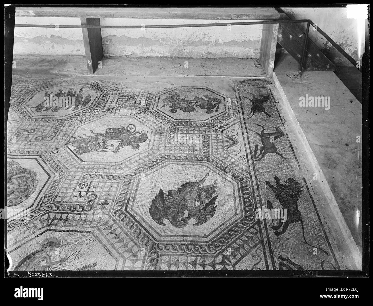 . Villa romaine de Boscéaz : lions composant le bord de la composition 1896 25 CH-ACV AMH-C-0621 Banque D'Images