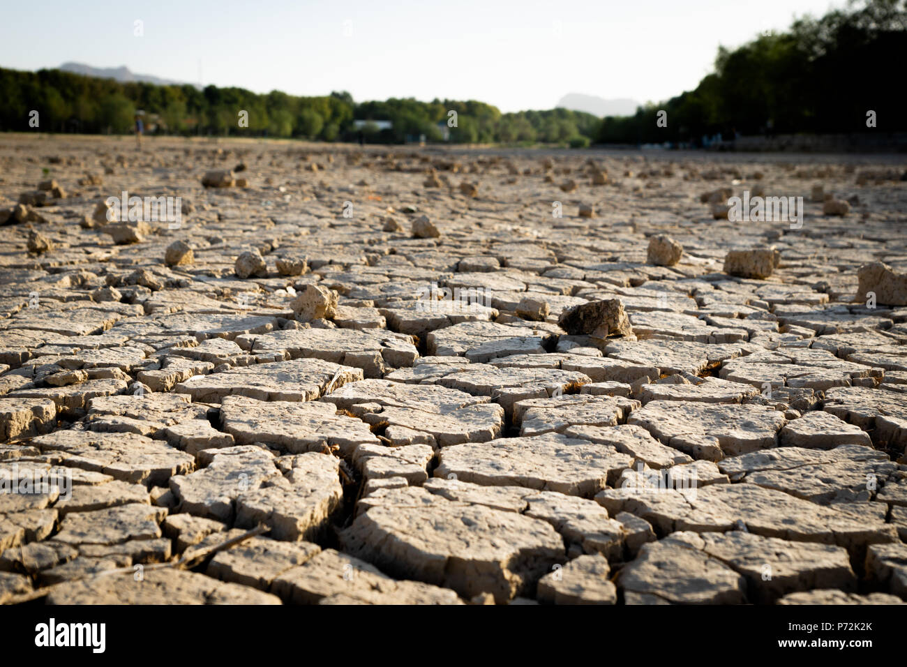 En raison de la sécheresse de la terre craquelée / rivière asséchée, montrant les dommages causés à l'environnement. Banque D'Images