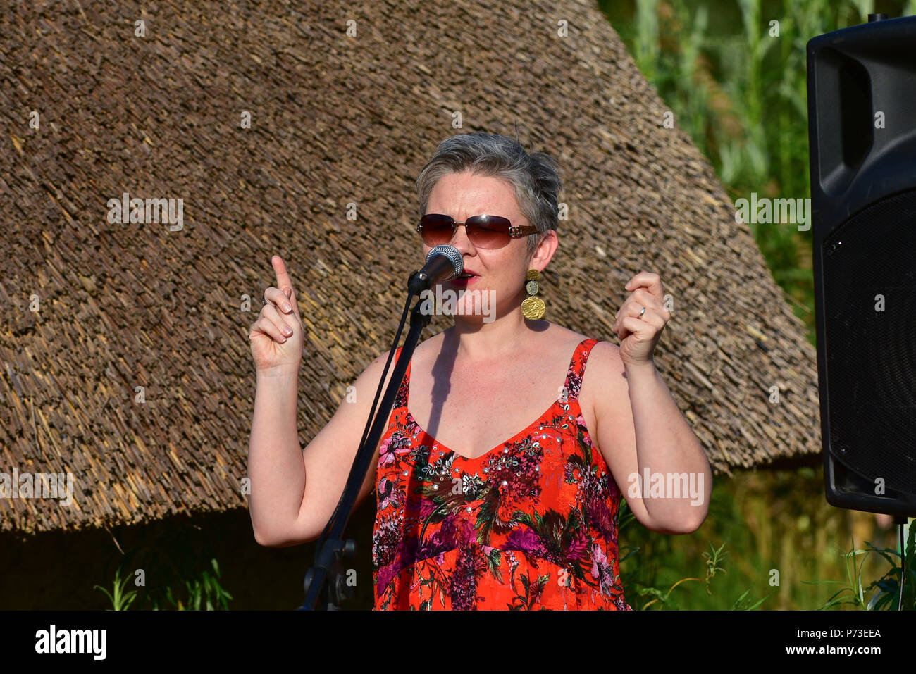 Comté de Tyrone, UK. 4 juillet, 2018. Poète et activiste Michelle Dennehy récite un de ses poèmes à regroupant des membres des groupes d'activistes et des membres de la communauté en lutte contre le projet de destruction de la montagnes Sperrin, dans le comté de Tyrone. Comté de Tyrone : UK:4 Juillet 2018 Crédit : Mark Winter/Alamy Live News Banque D'Images