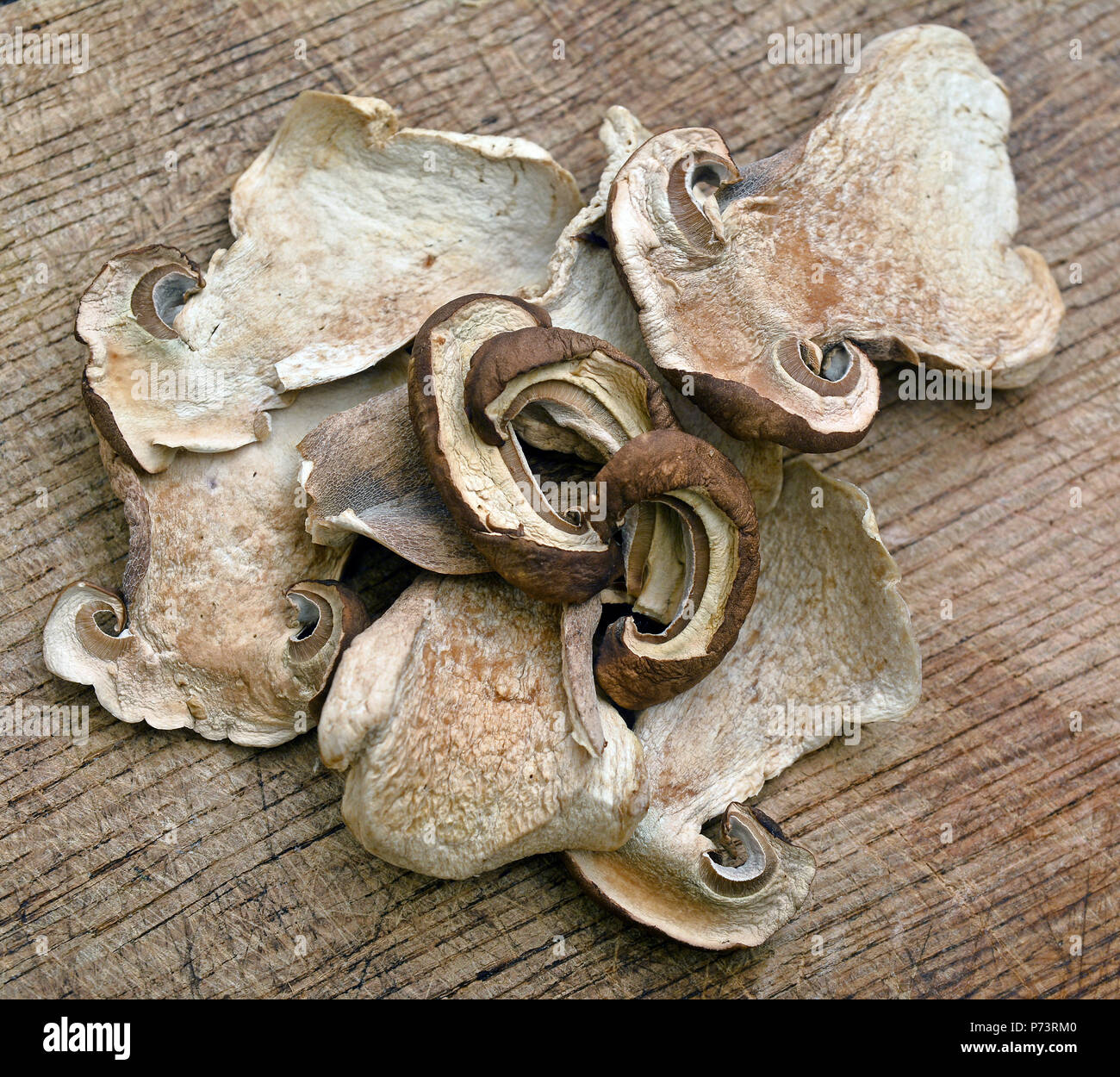 Dehydrated tranches de champignons boletus edulis Banque D'Images