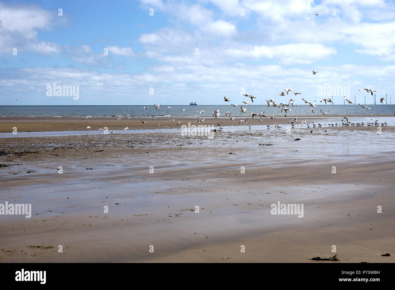 Plage de Seaton Carew de Hartlepool en Angleterre un jour d'été Tide Sortir Raphael et d'oiseaux de se nourrir et voler à bord de l'eau Banque D'Images