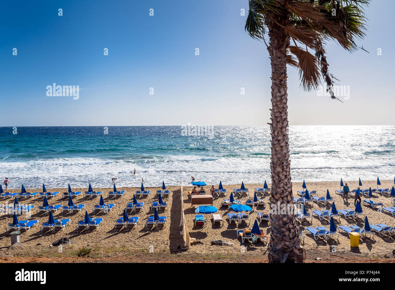 Puerto del Carmen, Espagne - Décembre 29, 2016 : la vue Jour de plage avec des palmiers et les touristes à Puerto del Carmen, Espagne. Puerto del Carmen est le principal tour Banque D'Images