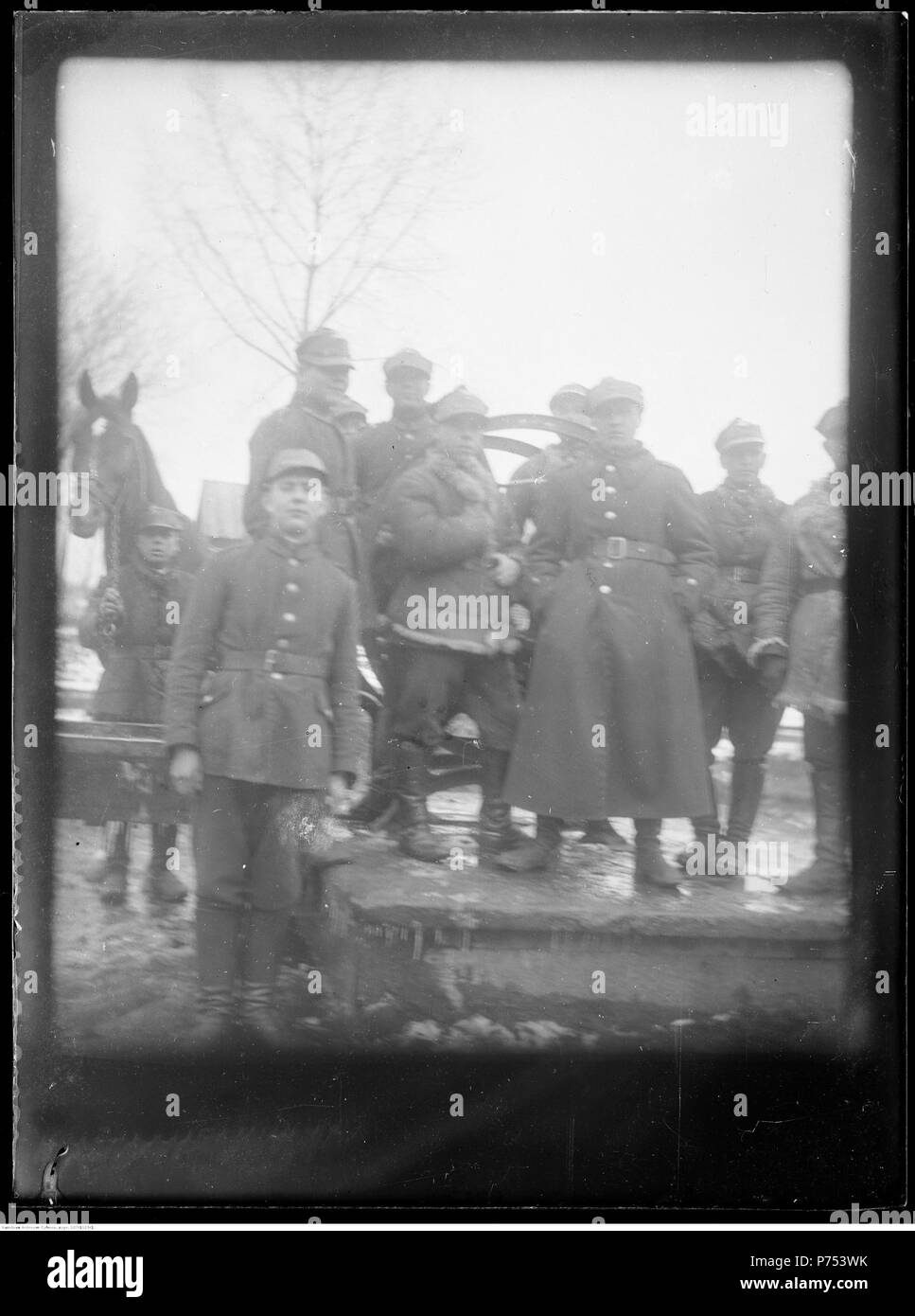 77 Narcyz Witczak-WitaczyPułku Żołnierze ński - 1 Krzyzowa Konnych (107-1103-1) Banque D'Images