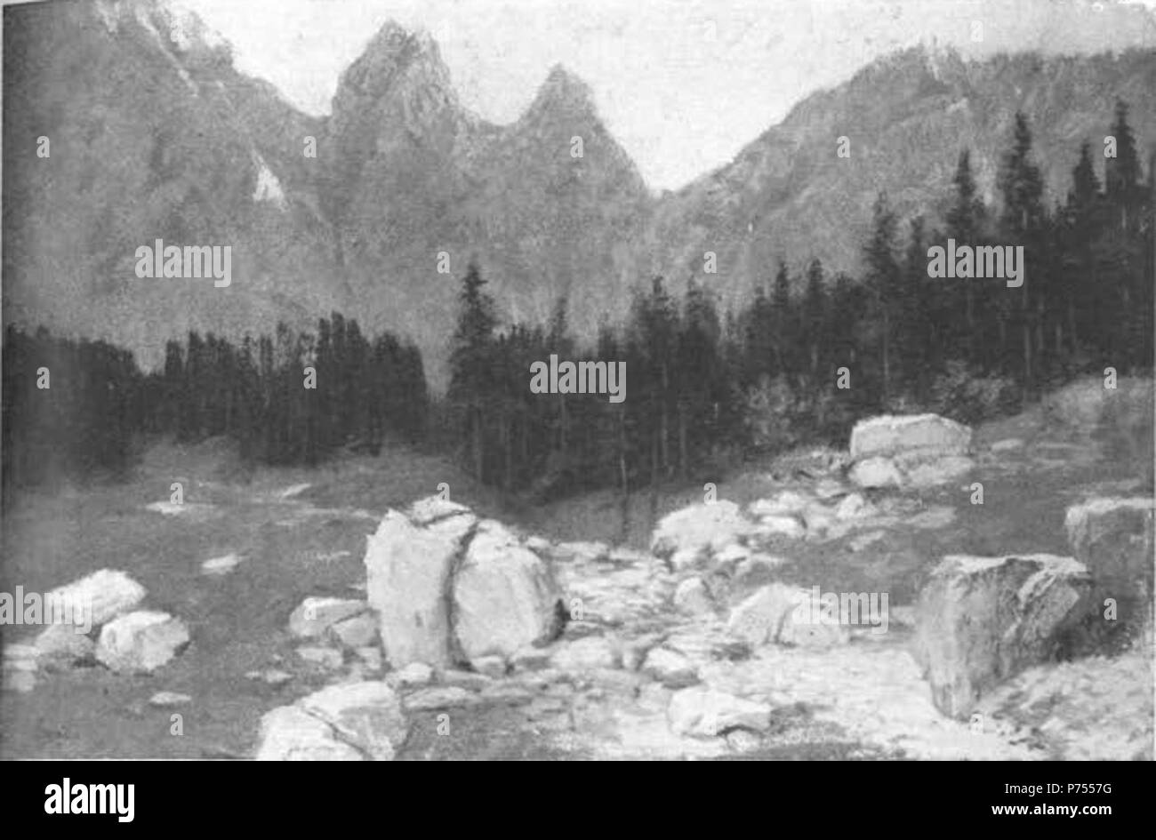 Anton 10 Gvajc - Molička planina Banque D'Images