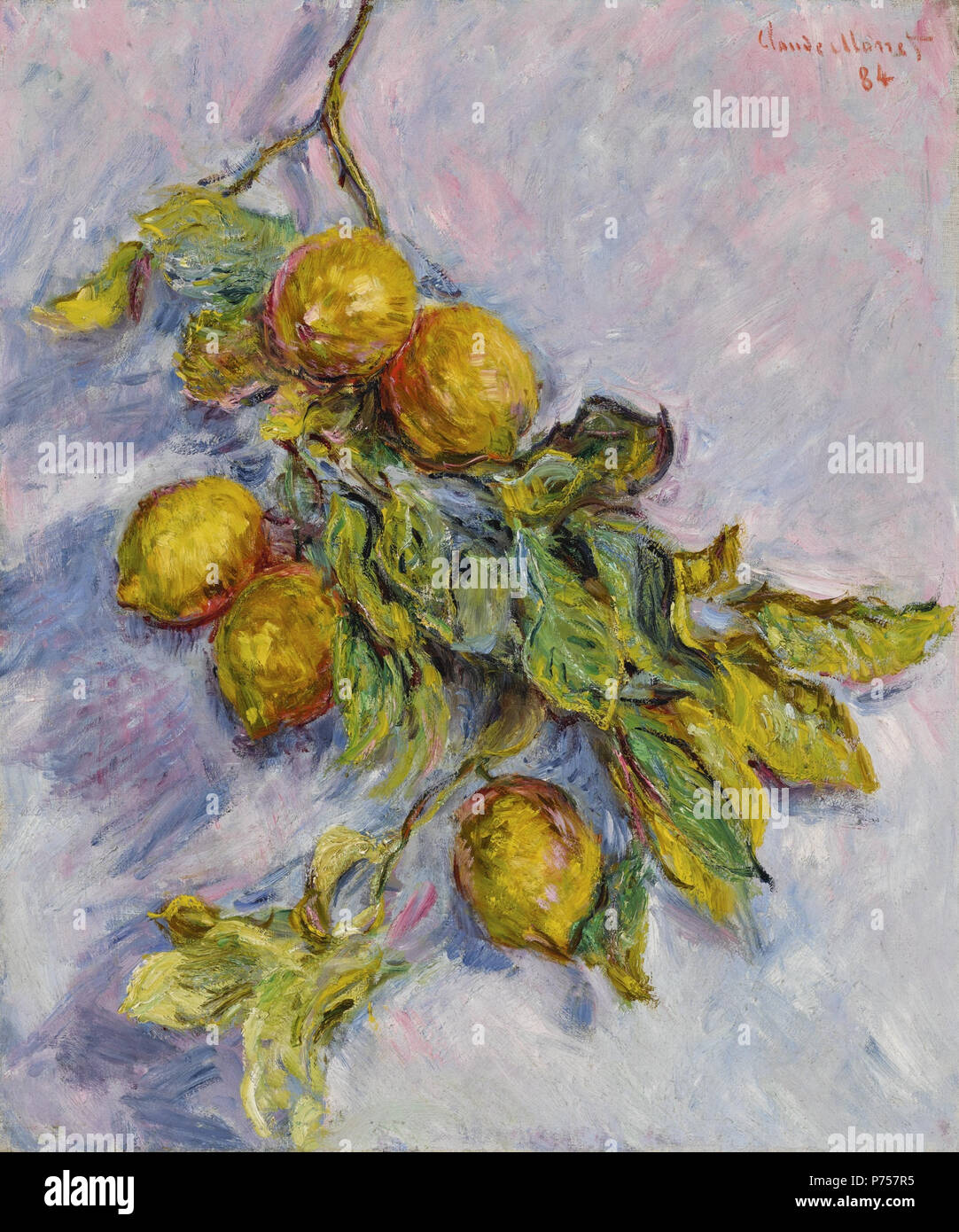 Anglais : Citrons sur une branche par Claude Monet, 1884, huile sur toile, 65,5 par 54,3 cm. 25 3/4 par 21 3/8 en . 188427 Citrons sur une branche de Claude Monet, à l'huile Banque D'Images