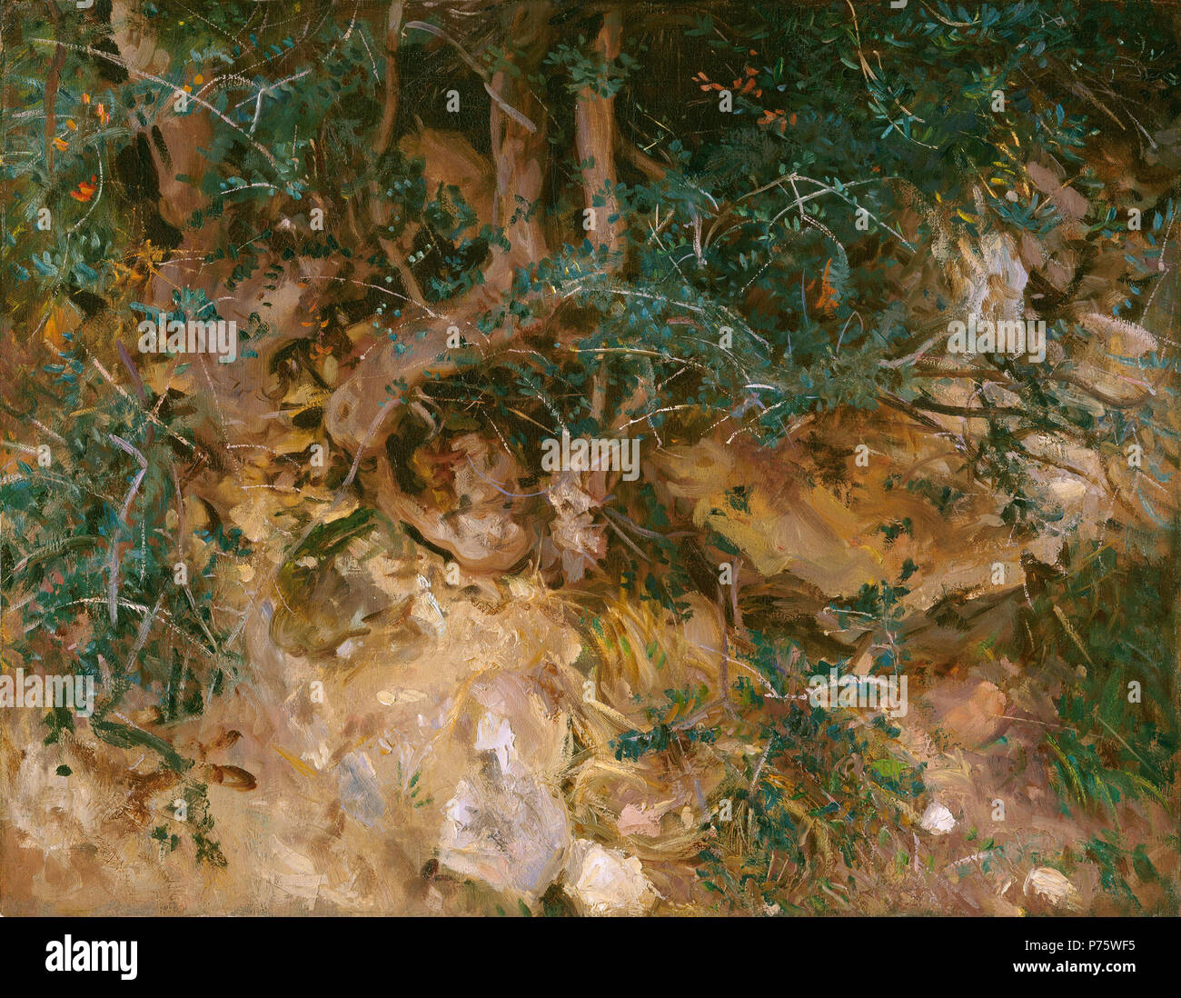 Peinture ; huile sur toile ; total : 55,8 x 71,1 cm (21 15/16 x 28 in.) : 80,7 x 96,5 encadré x 5,4 cm (31 x 38 3/4 x 2 1/8 in.) ; 148 John Singer Sargent - Valdemosa Majorque -, les chardons et les herbes sur une colline Banque D'Images