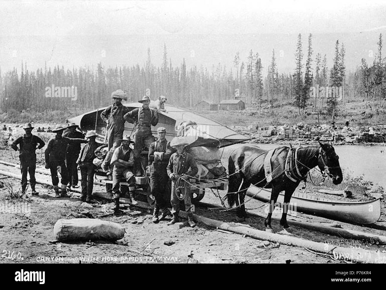 . Anglais : Horse transport voiture de tramway et de la charge d'un bateau sur le Canyon et rapides de Compagnie du Tramway, probablement le canyon Miles, Territoire du Yukon, ca. 1898. Anglais : Le tramway company a été utilisé pour le portage autour de Whitehorse Rapids sur la rivière Yukon . Légende le droit : 'Canyon et rapides de Tramway.' . L'or du Klondike. Sujets (LCTGM) : chemins de fer--Yukon ; Canyons--Yukon ; canots--Yukon--Miles Canyon ; Projet de animaux--Yukon--Sujets Miles Canyon (LCSH) : Canyon et rapides de Compagnie du Tramway (Yukon) ; Miles Canyon (Yukon) . vers 1898 6 cheval et tramway transport voiture de charge Banque D'Images