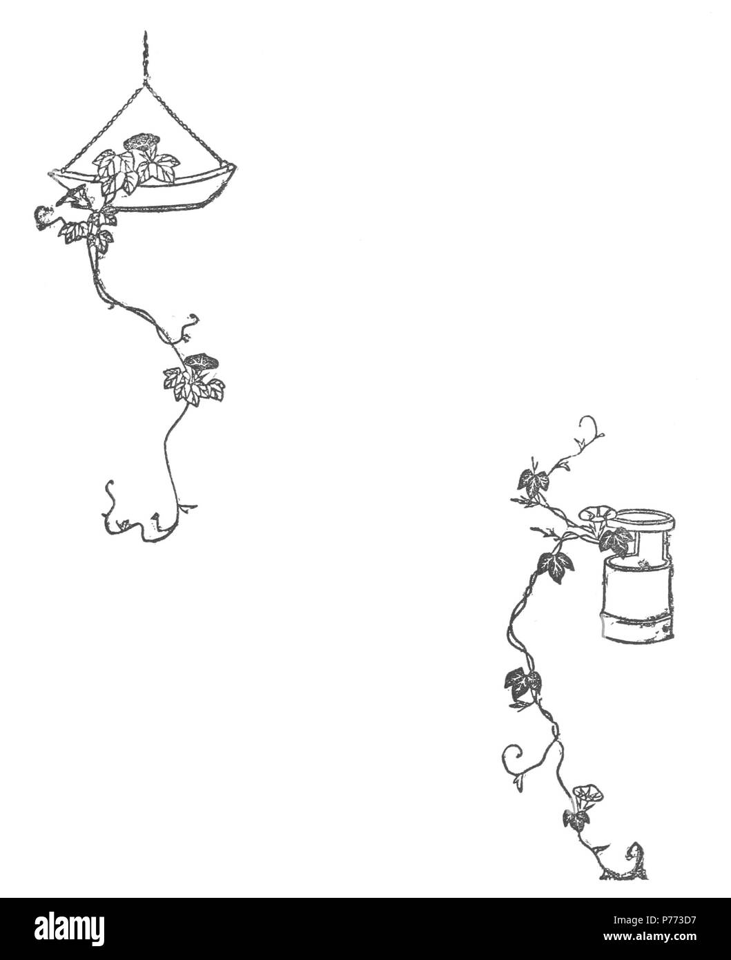 6 arrangement floral japonais p135 Banque D'Images