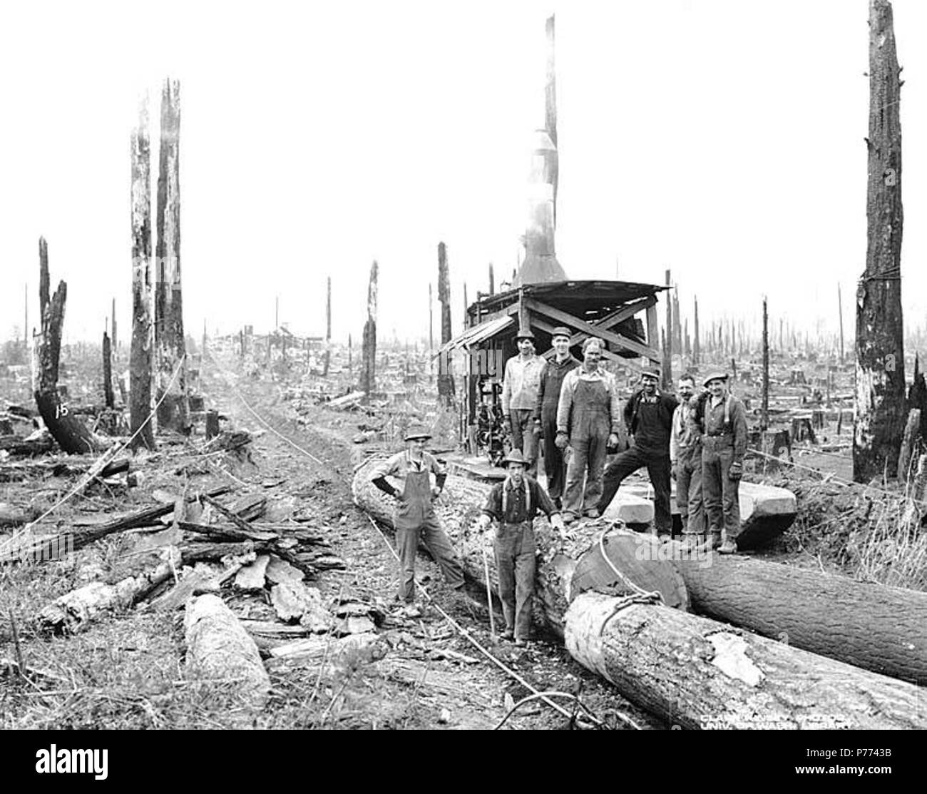 . Anglais : moteur, l'équipage et de l'âne Hamilton Logging Company, ca. 1912 . Anglais : Légende sur l'image : PH Coll 15 516,1448 l anglais Lumber Company a un intérêt majoritaire dans la société d'exploitation forestière de Hamilton, qui fait affaire sous le nom de ca. 1908 à 1917, lorsque le nom a été changé pour l'Lyman Timber Company. Hamilton est une communauté sur la rive nord de la rivière Skagit dix milles à l'est de Sedro Woolley, dans le centre de Skagit Comté. Il était une fois explosé comme le Pittsburgh de l'Ouest, parce que les dépôts de fer et de charbon dans les environs. La ville porte le nom de William Hamilton, qui homestea Banque D'Images