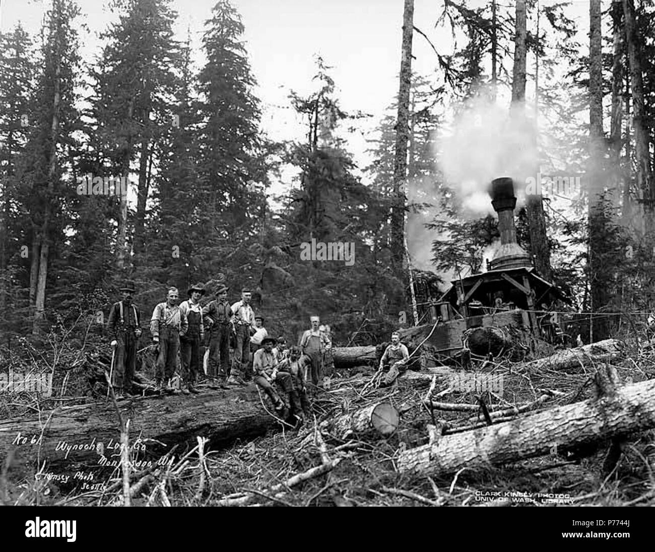 . Anglais : moteur, l'équipage et de l'âne Wynooche Timber Company, près de Montesano, ca. 1921 . Anglais : Légende sur l'image : Wynoche Log. Co., Montesano, Wn. C. Kinsey Photo, Seattle. No 61 PH Coll 516,5158 Le Wynooche Timber Company a commencé ses opérations ca. 1913 avec siège à Hoquiam et opérations forestières dans les Ecorchés. Il a été nommé pour Wynooche Valley dans le nord-est de Grays Harbor Comté. Wynooche Timber Company a été acheté par Schafer Brothers Logging Company ca. 1927. Montesano, le siège du comté de Grays Harbor Comté, est à 13 kilomètres à l'est d'Aberdeen sur la rivière Chehalis, près de l'embouchure de Banque D'Images