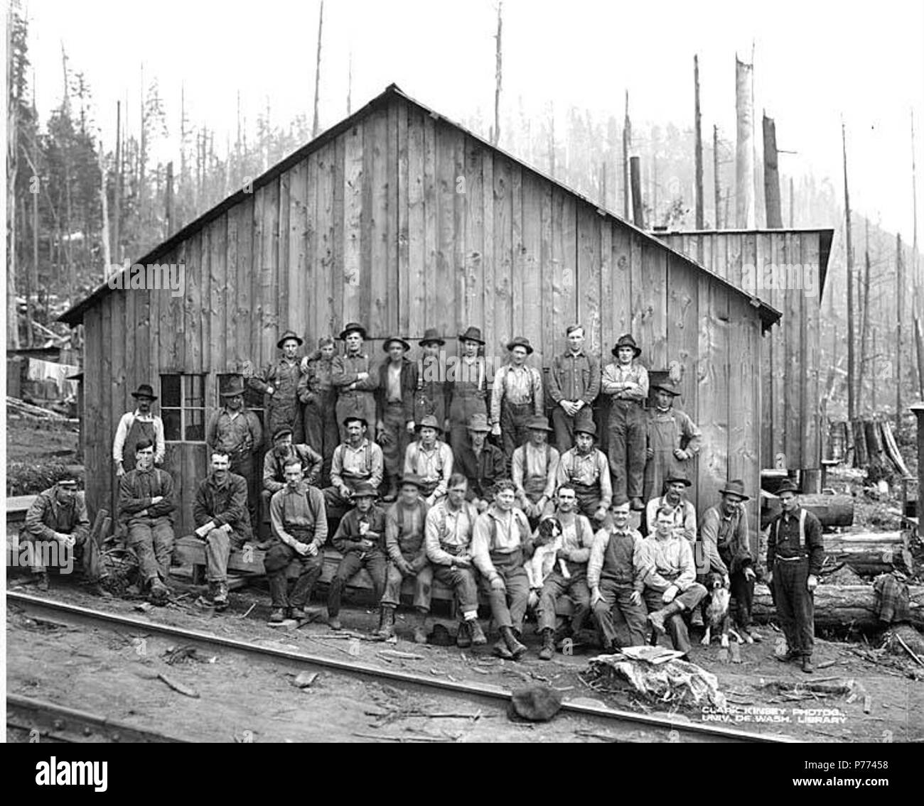 . Anglais : au camp de l'équipage, Ebey Logging Company, ca. 1917 . Anglais : PH Coll 516,1085 Ebey compagnie forestière était en affaires à partir de ca. 1909 à ca. 1927, avec des opérations à Arlington, comté de Snohomish. En 1927, il a vendu son logging railroad Canyon à Lumber Company. Arlington est de douze milles au nord d'Everett à la jonction de l'Amérique du Nord et du sud de la fourche Stillaguamish River dans le nord-ouest du comté de Snohomish. Sujets (LCTGM) : les chiens ;--Washington (État) ; camps de bûcherons--Washington (État) ; des voies de chemin de fer--Washington (État) ; la buanderie--Washington (Etat), Ban--Washington (État) ; Lumb Banque D'Images