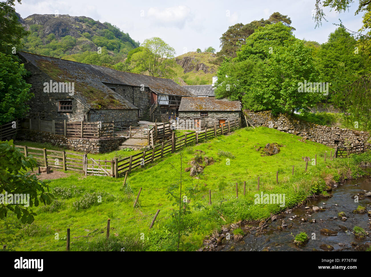 Yew Tree Farm (autrefois propriété de Beatrix Potter) près de Coniston Lake District National Park Cumbria Angleterre Royaume-Uni Grande-Bretagne Banque D'Images