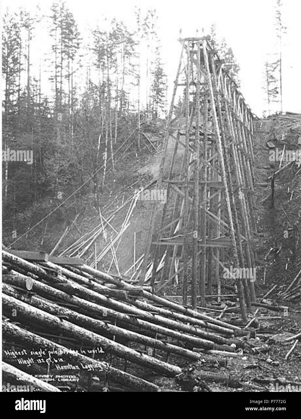 . Anglais : Niveau du sol de la deuxième cabine Rouge Creek railroad bridge, Hamilton Logging Company, 1916 . Anglais : PH Coll 516,1449 la deuxième cabine Rouge Creek Bridge a été construit à partir de 1916. Il a été construit environ un demi-mille en aval du pont du ruisseau Rouge original et de Hamilton Logging Company's camp no. 3. Le nouveau pont faisait partie d'une ligne de chemin de fer la réinstallation. Il a été de 600 pieds de long et 132 pieds de haut niveau de l'eau pour la partie supérieure du rail. Le douglas de polonais ont été utilisés en diverses longueurs de 70 à 130 pieds. La compagnie de bois avait une participation majoritaire dans l'Hami Banque D'Images