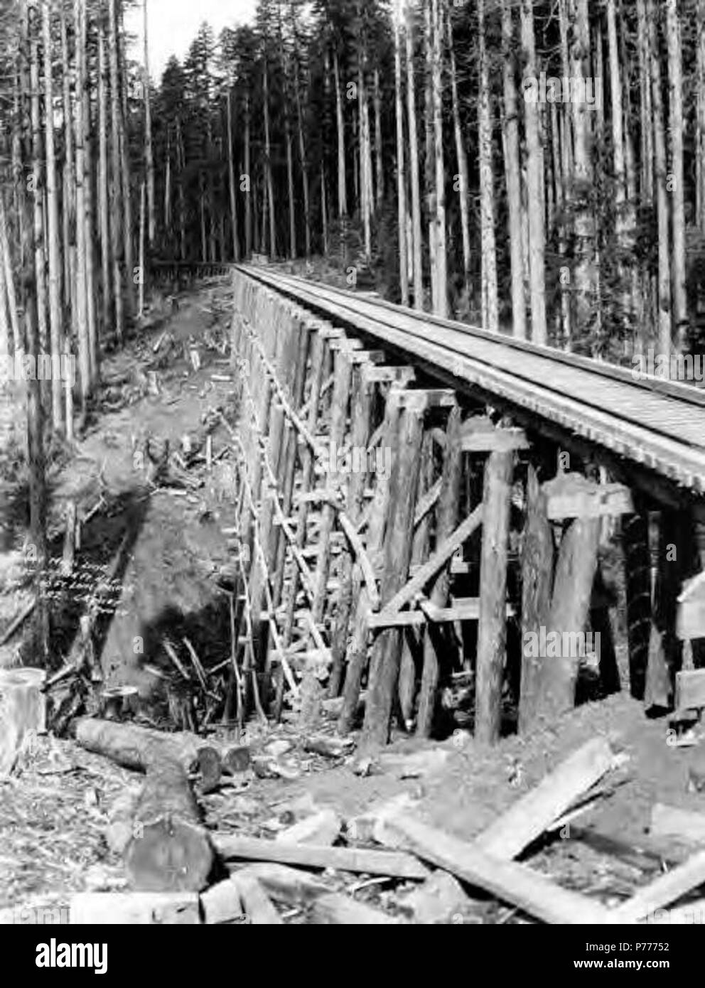 . Anglais : Haute railroad trestle à travers bois, Kerry Timber Company, New York, ca. 1917 . Anglais : Note de l'inventaire : Voir aussi : K.P. Timber Company Légende le droit : Kerry ligne principale, une partie de 184 m de haut et 700 pieds de long, pas de pont 182 PH Coll 516,1632 Le Kerry Timber Company exploité dans le début du xxe siècle. Son président était Albert S. Kerry, qui a fondé la ville de Kerry en comté de Columbia, New York en 1912. L'année suivante, Kerry intégré la Colombie-Britannique & Nehalem River Railroad pour créer un moyen d'accéder à des exploitations de bois dans la vallée de Nehalem. Le chemin de fer était également connue sous le nom de Ker Banque D'Images