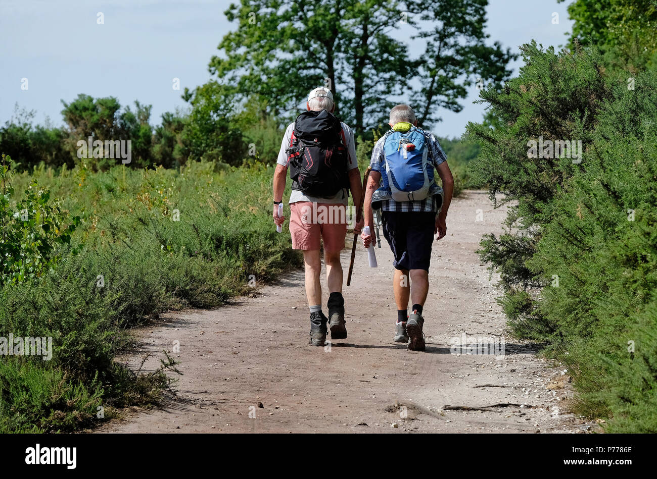 Deux personnes âgées les marcheurs, randonnée pédestre sur la voie, holt Country Park, North Norfolk, Angleterre Banque D'Images