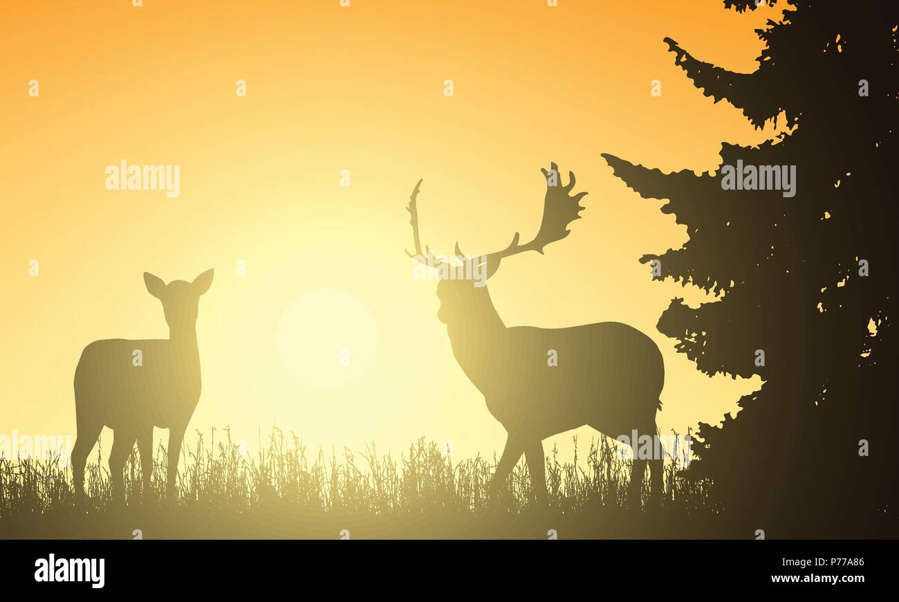 Les cerfs et les pattes arrière dans un pré avec un arbre, avec le soleil qui se lève derrière l'arrière-plan - vector Illustration de Vecteur