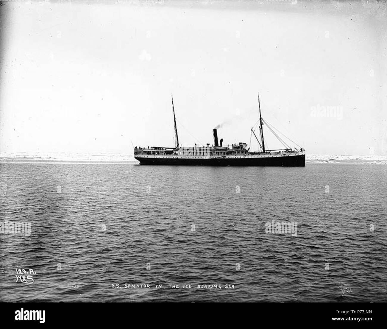. Anglais : Steamer Le sénateur dans la glace, de la mer de Béring, en Alaska, ca. 1900. Anglais : Légende sur l'image : 'S.S. Le sénateur sur la glace de la mer de Behring' image d'origine dans l'album 17 Hegg, page 24 . Photographie originale par Eric A. Hegg 1498 ; copié par Webster et Stevens 123.Un Sujet (LCTGM) : les navires--Alaska ; glace--Alaska ; océans--sujets de l'Alaska (LCSH) : Sénateur (navire) ; mer de Béring . vers 1900 12 Steamer Le sénateur dans la glace, de la mer de Béring, en Alaska, vers 1900 (HEGG 307) Banque D'Images
