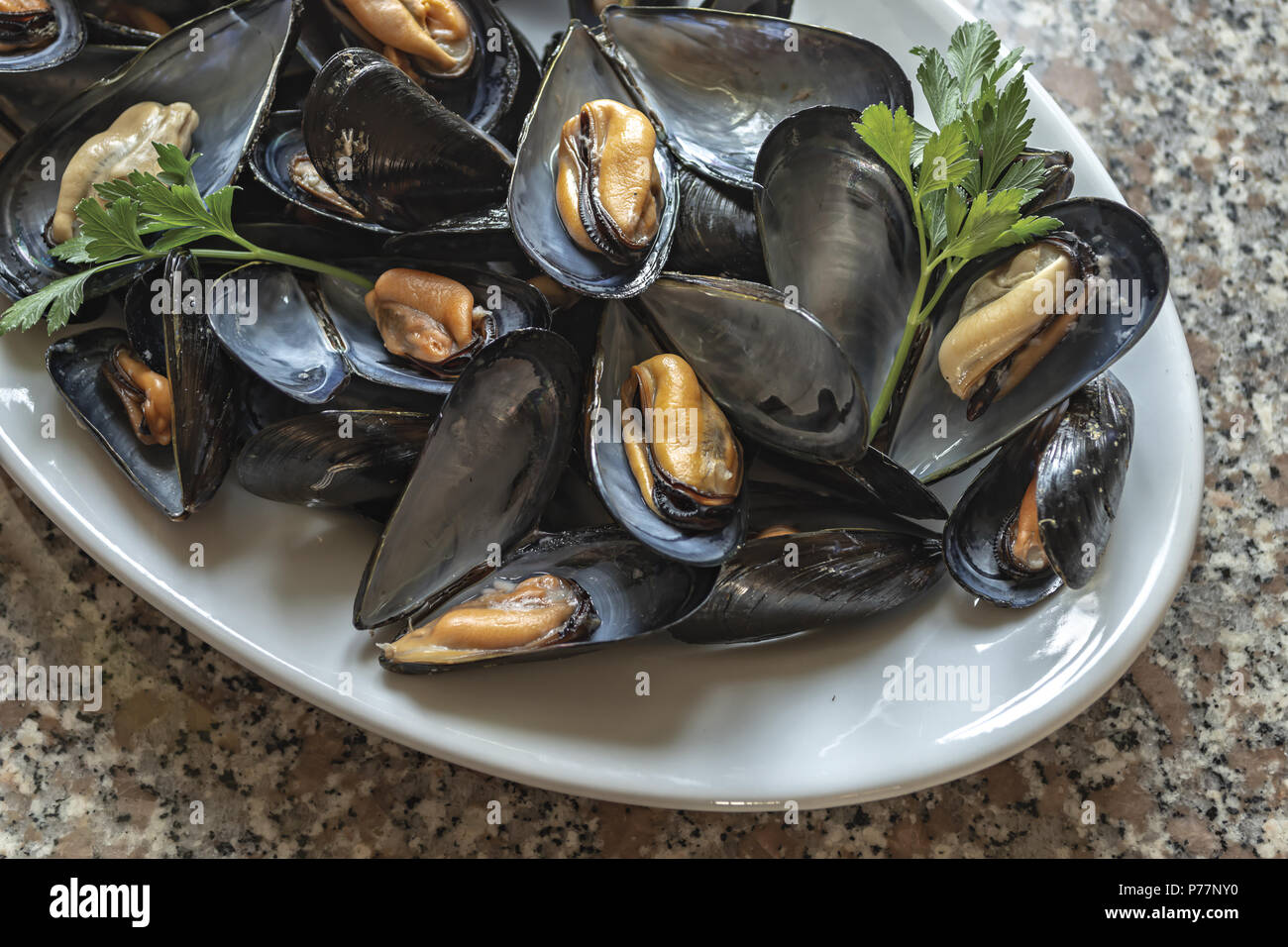 5 moules Banque D'Images