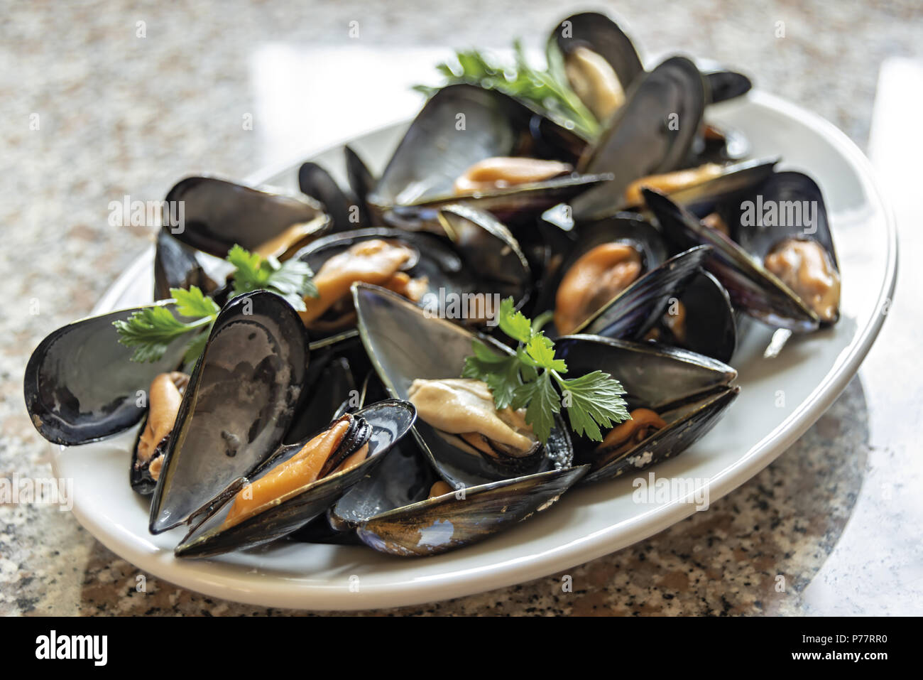 12 moules Banque D'Images