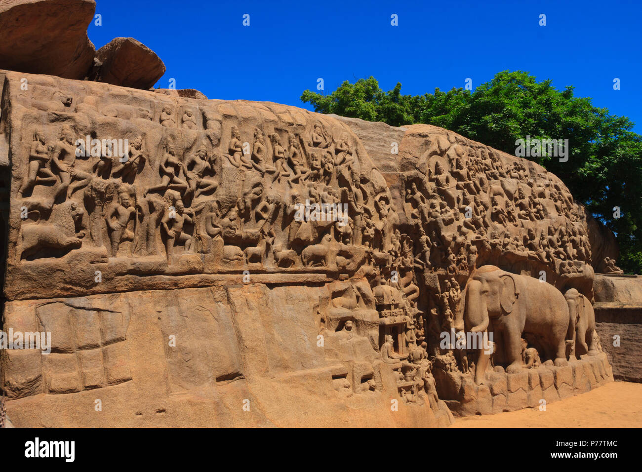 La pénitence d'Arjuna - Mahabalipuram, Tamil Nadu (Inde) Banque D'Images