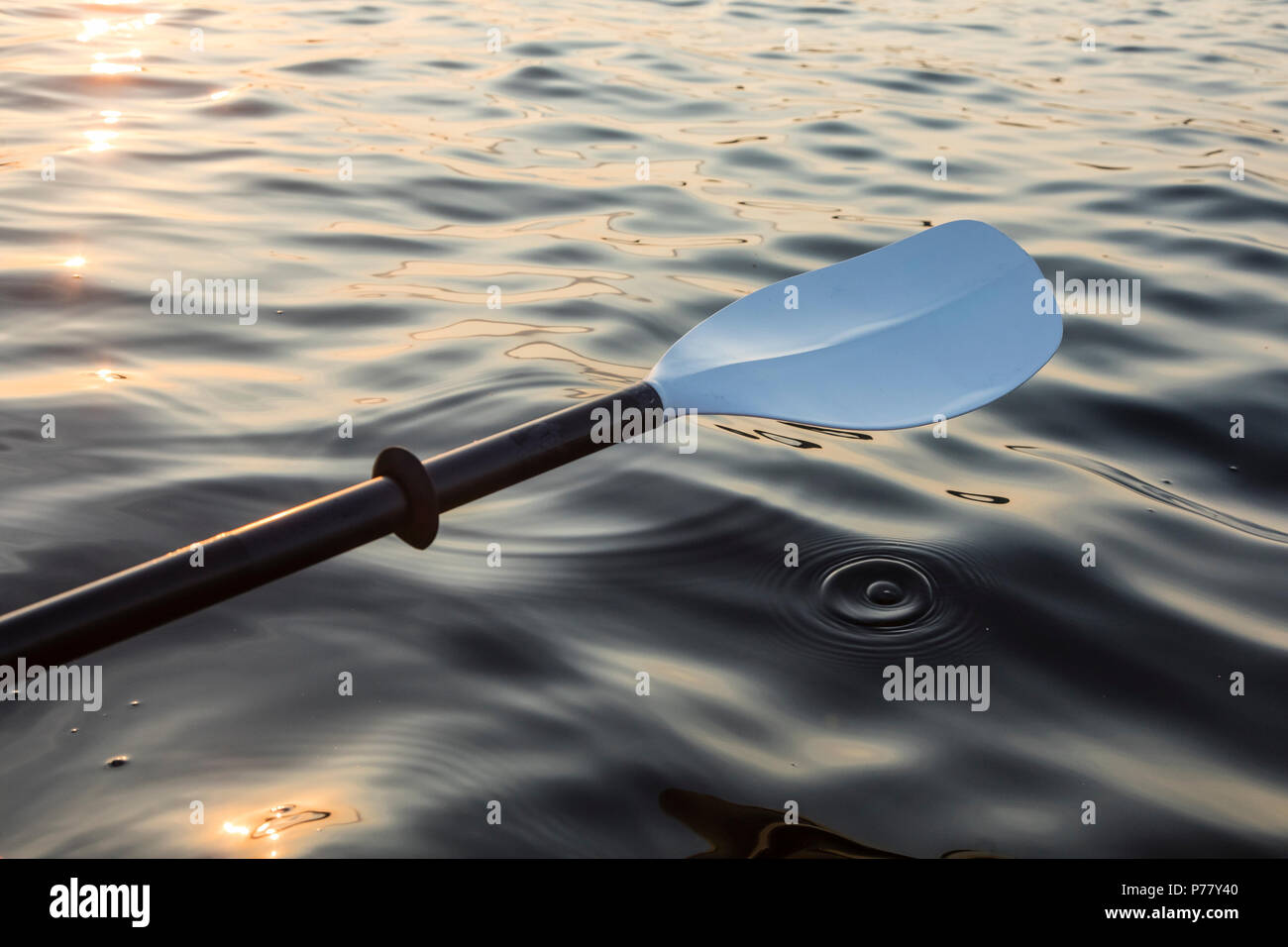 Kayak paddle, avec coucher de soleil colorés réflexion sur l'eau. Banque D'Images