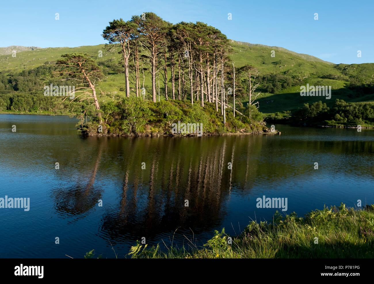L'île d'Eilean na Moine, Loch Eilt, Lochaber, Ecosse. Cette petite île a été utilisée comme lieu dans le Harry Potter la Chambre des Secrets. Banque D'Images