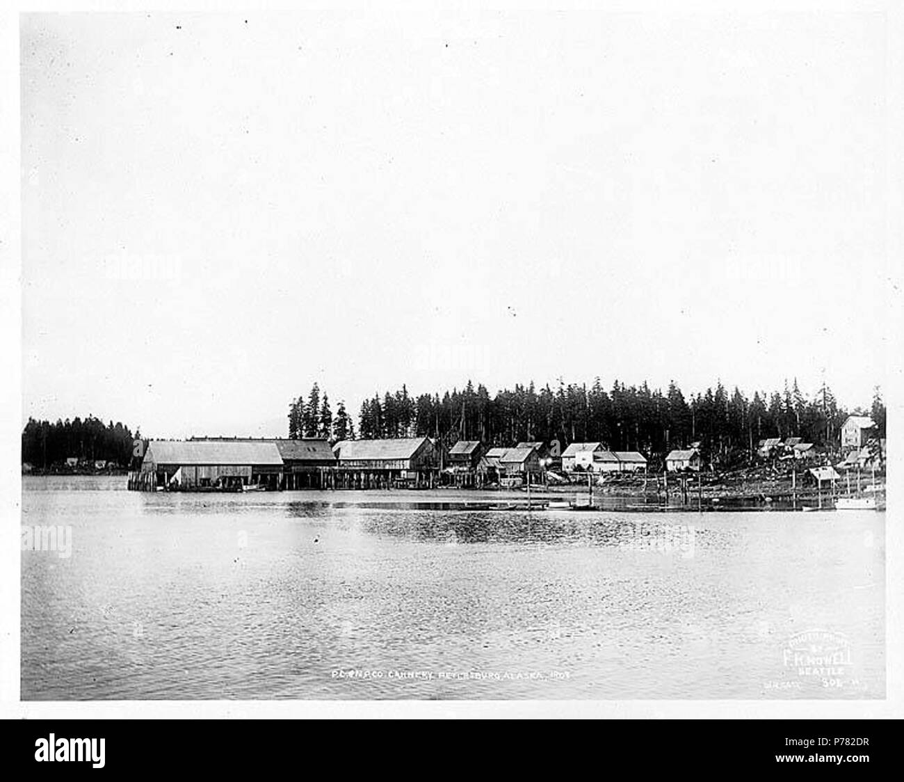 . Anglais : Côte du Pacifique et la Norvège Packing Co. Cannery, Petersburg, 1908 . Anglais : Légende sur l'image : P.C. & N.P. Co., Petersburg, Alaska, 1908. Impression photo par F.H. Nowell, Seattle. W.H. Cas. 302-N Petersburg est situé sur l'extrémité nord de l'île de Kitkof, 32 milles au nord-ouest de Wrangell. Connue comme la Petite Norvège d'Alaska, Petersburg était habitée en grande partie par les Scandinaves, dont l'emploi principal était à la pêche, les conserveries, l'exploitation forestière et l'élevage des animaux à fourrure. La ville a grandi autour d'une conserverie de saumon et d'une scierie construite en 1897-1899. Un bureau de poste a été créé en 1900. (Page 18) 751) Note de Donald O Banque D'Images