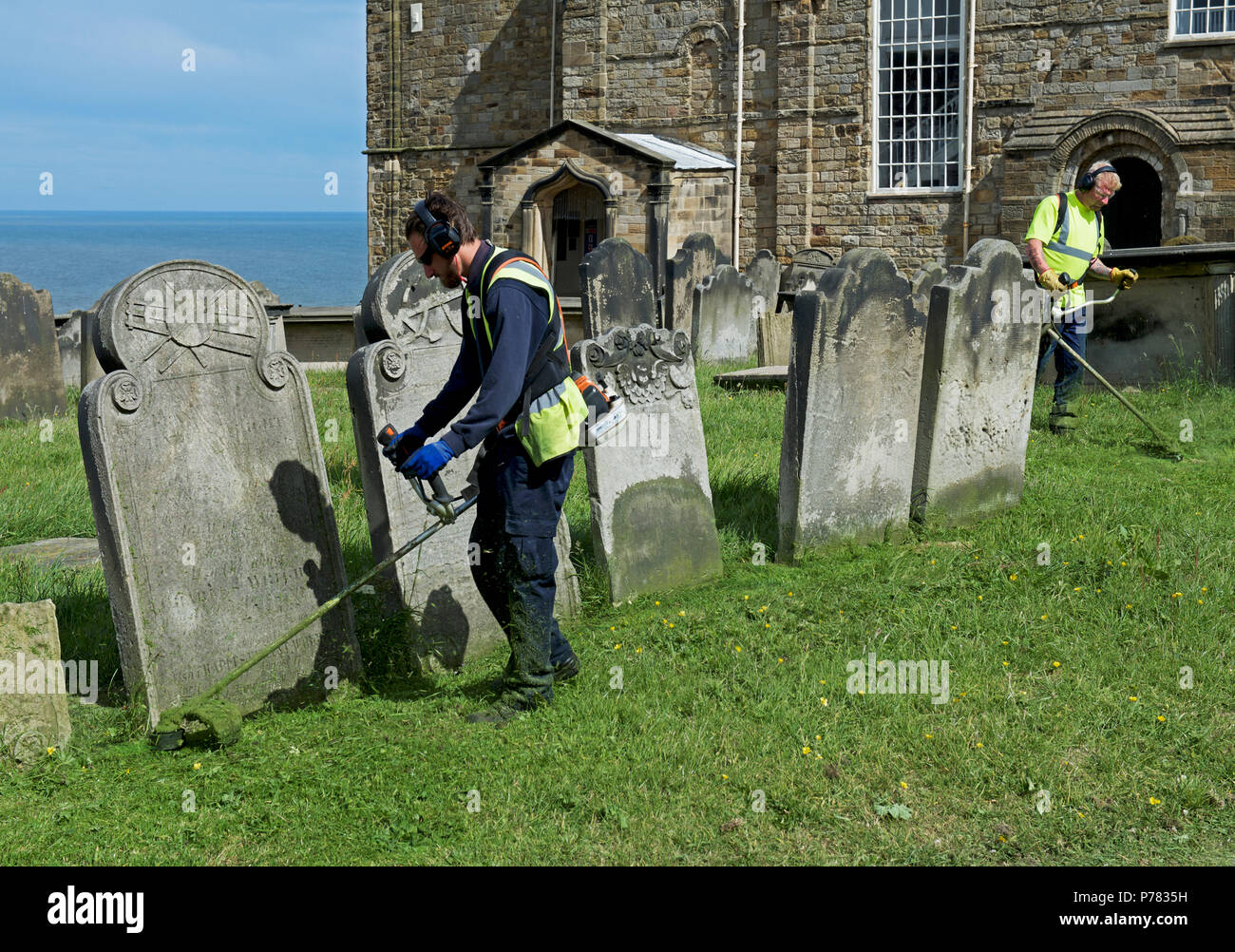 Jardiniers strimming, St Mary's Church, Whitby, North Yorkshire, England UK Banque D'Images