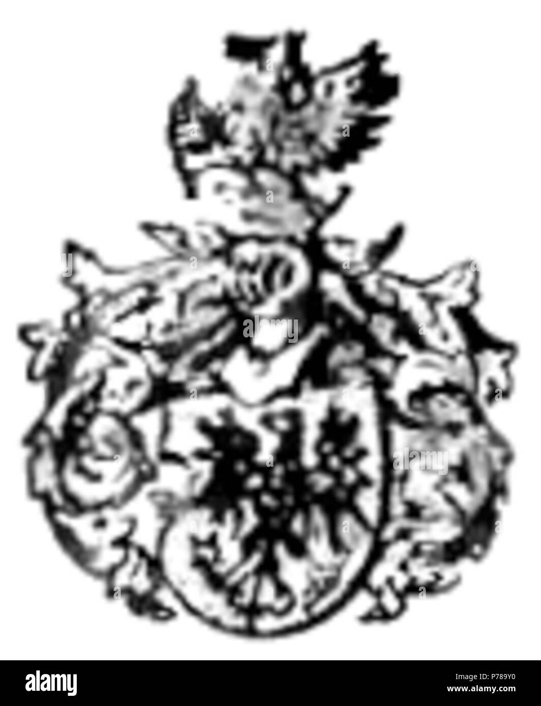 38 Imagen 1 - pag - 295 Apuntes para la historia de Marruecos djvu Banque D'Images