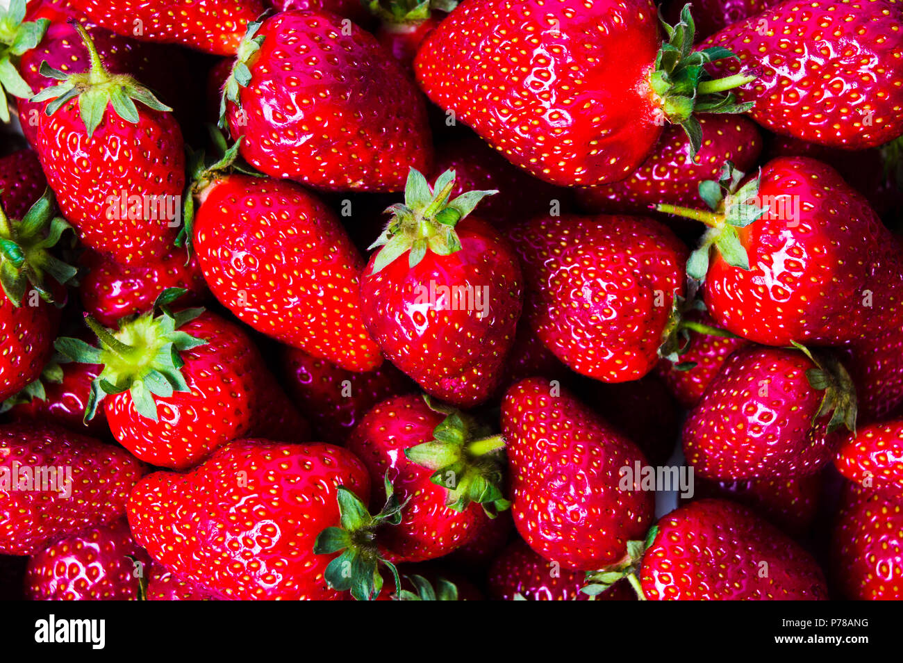 Des fraises de matières premières faisant un motif de fond rouge Banque D'Images