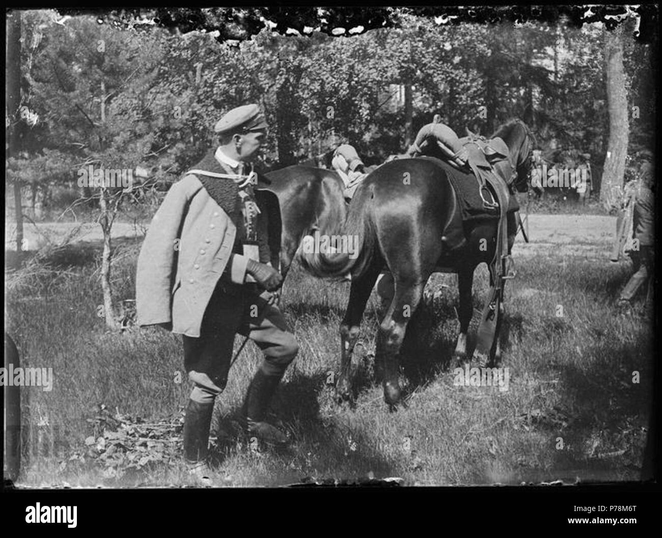 Oficer 45 2 p uł koniach Wołyń przy LP, 1916 Banque D'Images