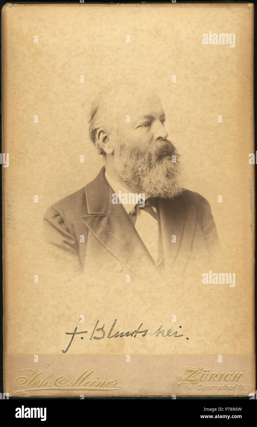 Bluntschli, Friedrich (1842-1930). vers 1899 2 Friedrich Bluntschli - ETH BIB Elevated View 00320 (Johannes Meiner) Banque D'Images