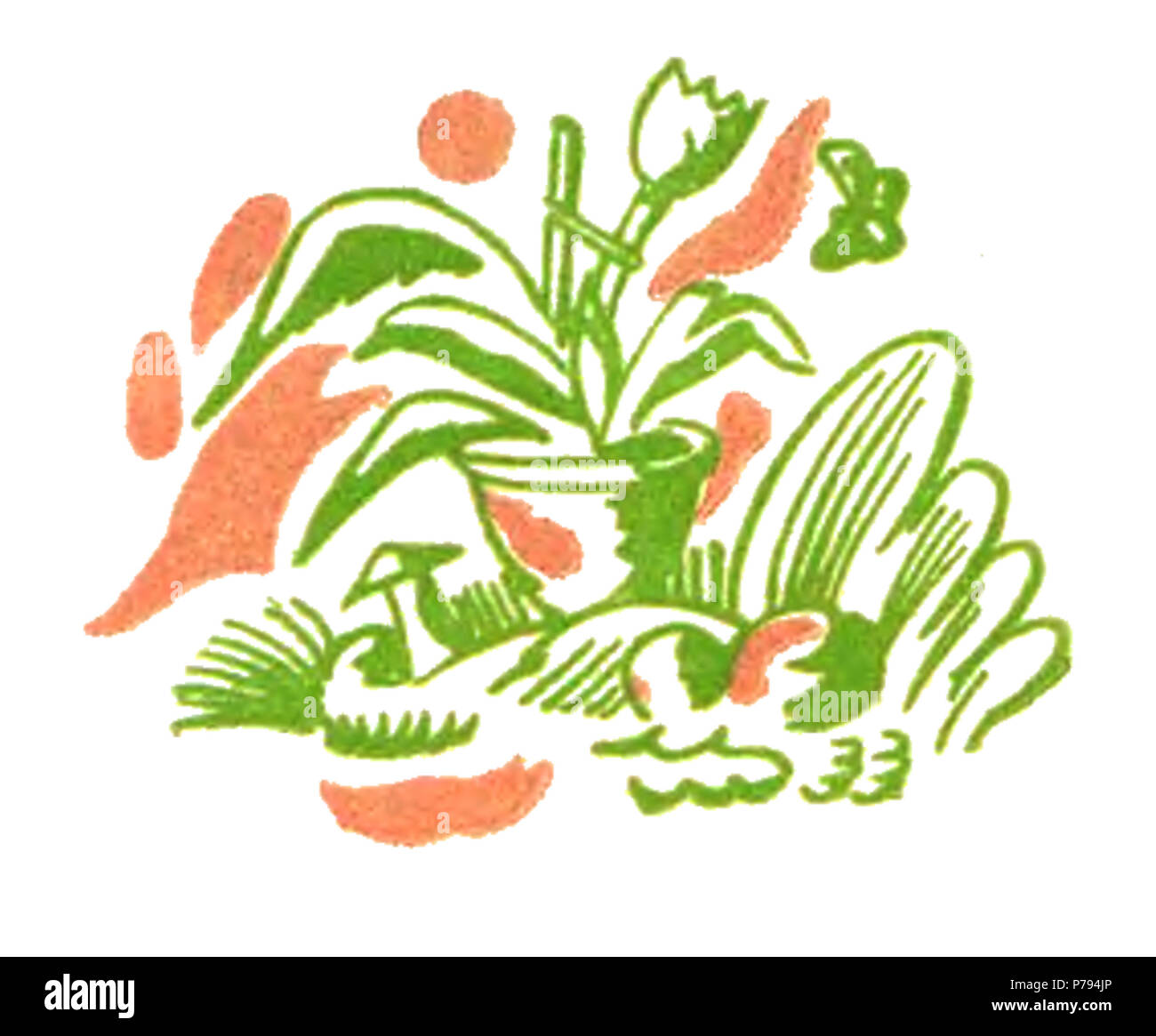 5 Maria Pawlikowska - Różowa magja p30, p52 Banque D'Images